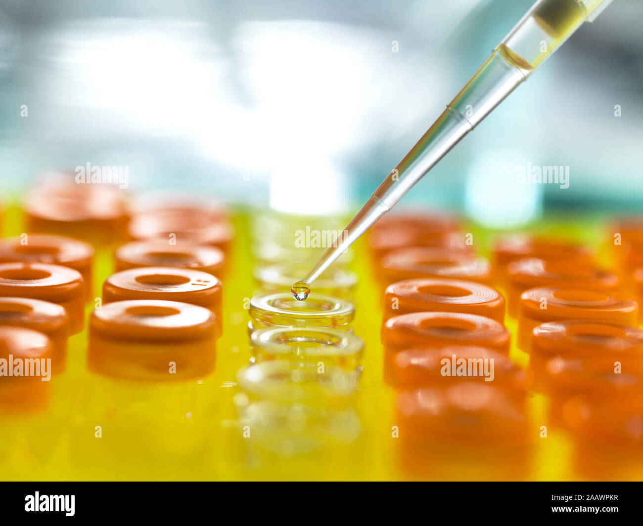Campioni essendo versata da una pipetta in fiale per le analisi in laboratorio Foto Stock