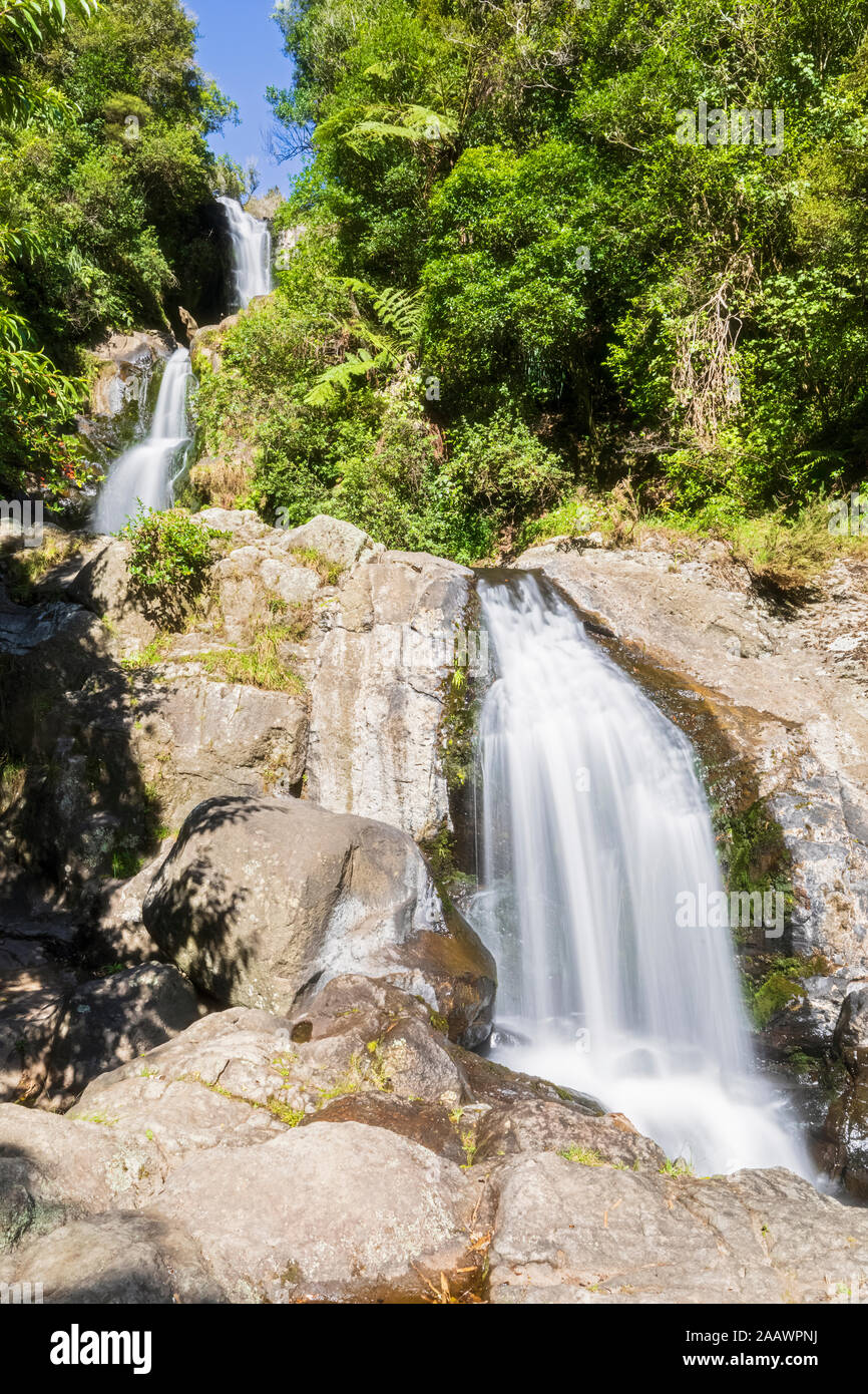 Upper Falls, Kaiate Falls, Baia di Planty, Isola del nord, Nuova Zelanda Foto Stock