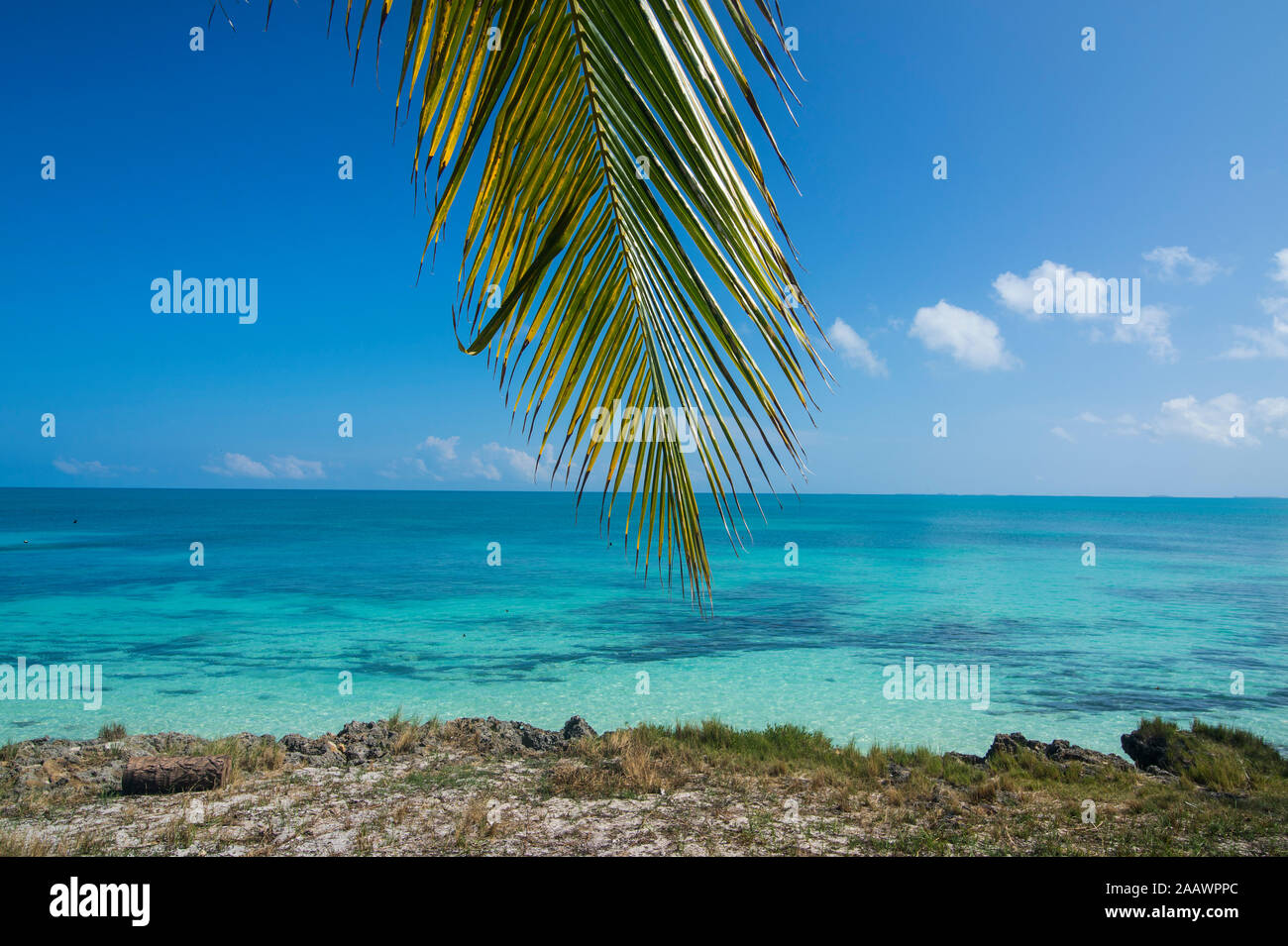 Acque turchesi e la spiaggia di sabbia bianca, Ouvea, Isole della Lealtà, Nuova Caledonia Foto Stock