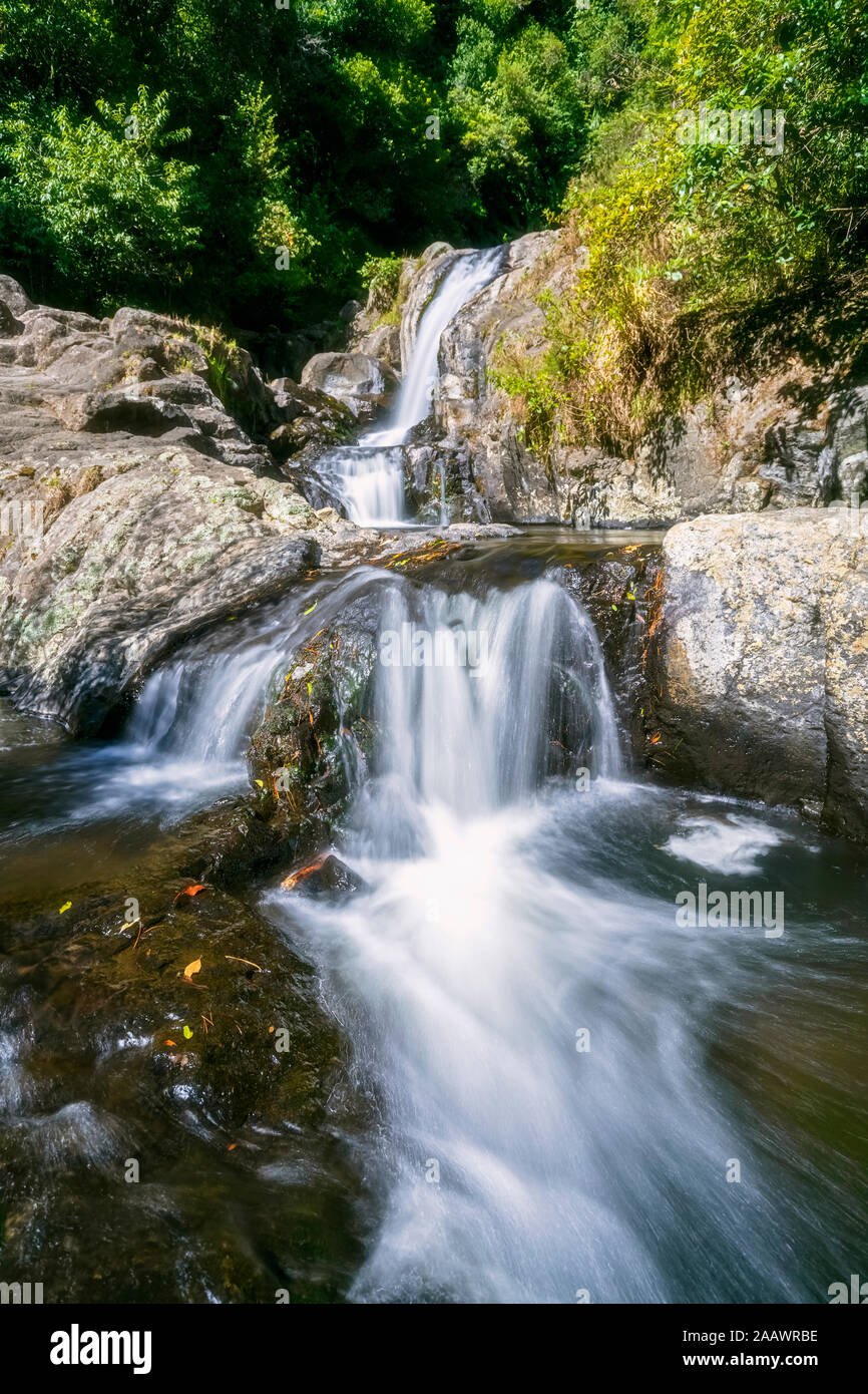 Upper Falls, Kaiate Falls, Baia di Planty, Isola del nord, Nuova Zelanda Foto Stock