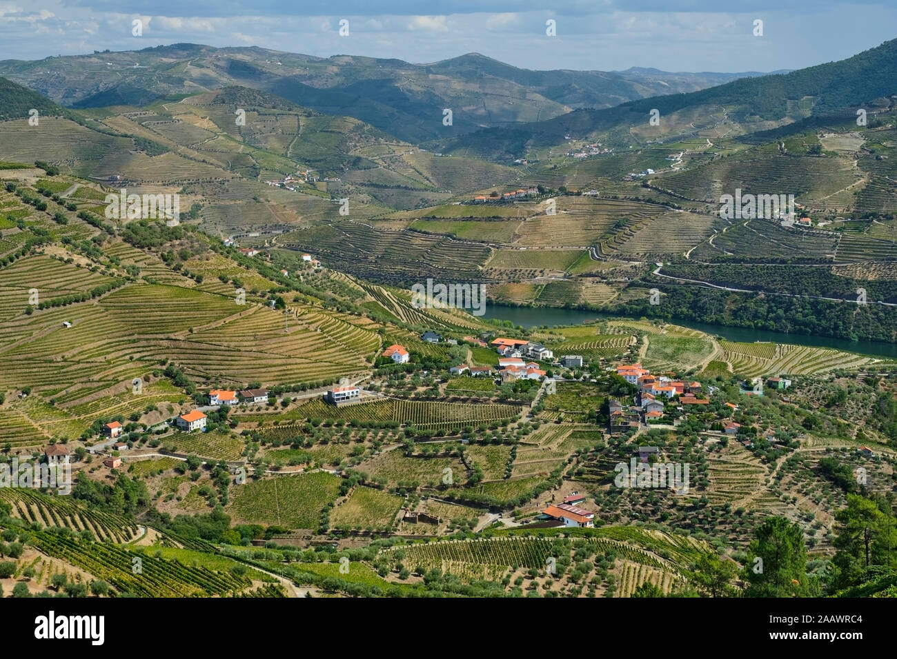 Il Portogallo, Valle del Douro, vigneti terrazzati affacciato sul villaggio e sul fiume Douro Foto Stock