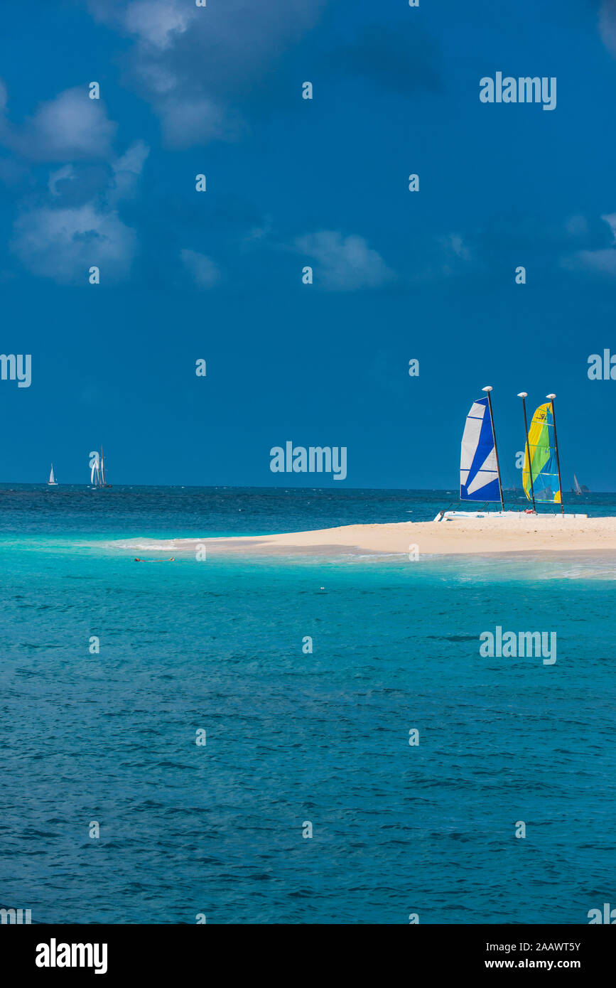 Catamarani ormeggiati alla spiaggia di sabbia bianca contro il cielo blu di Palm Island, Grenadine isole di Saint Vincent e Grenadine, dei Caraibi Foto Stock