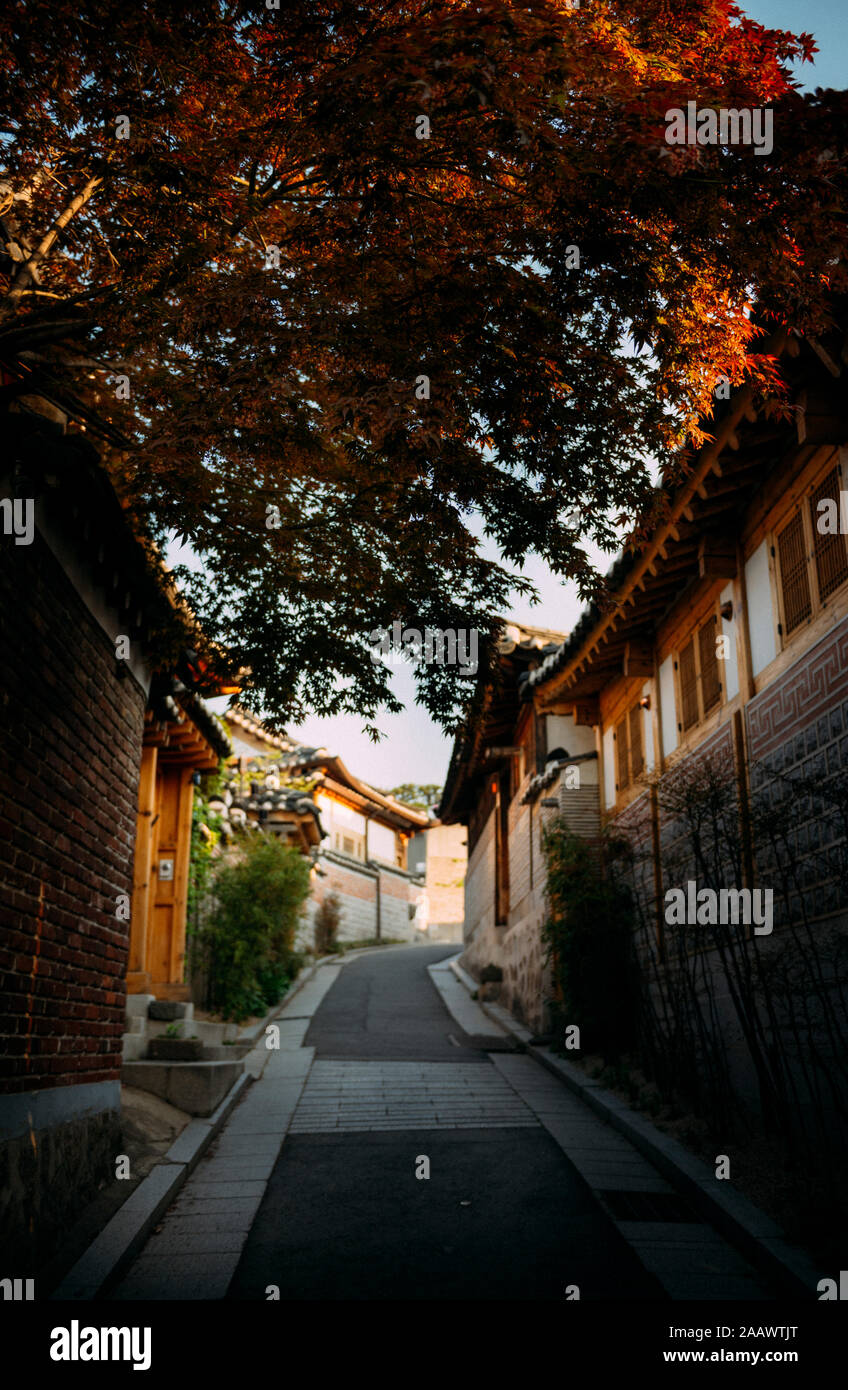 Alley con case tradizionali, il villaggio di Bukchon Hanok, Seoul, Corea del Sud Foto Stock