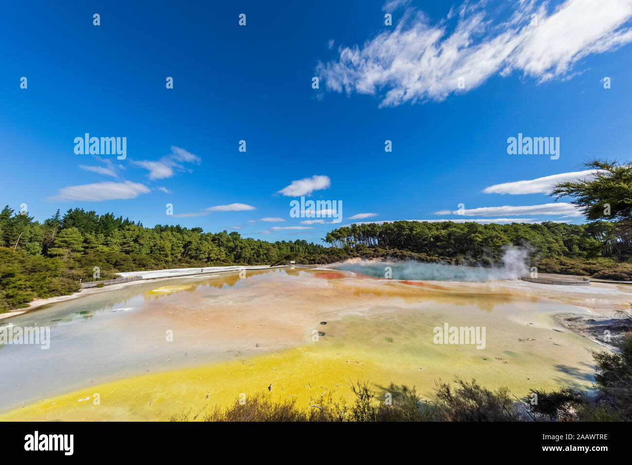 Artista della tavolozza, Wai-O-Tapu Thermal Wonderland, Taupo zona vulcanica, l'isola nord, Nuova Zelanda Foto Stock