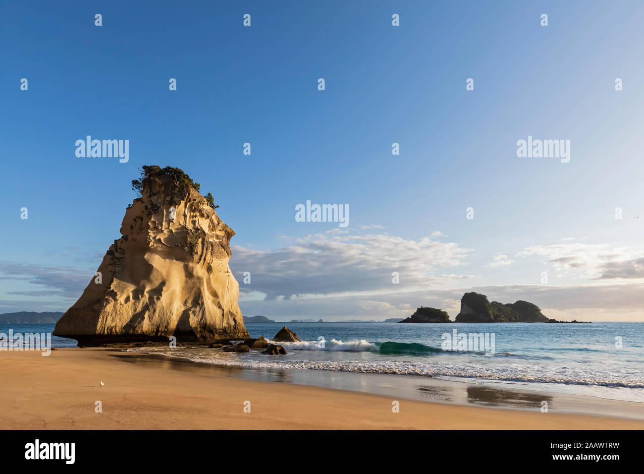 Nuova Zelanda, Isola del nord, Waikato, scenic mare spiaggia con Te Hoho Rock Foto Stock