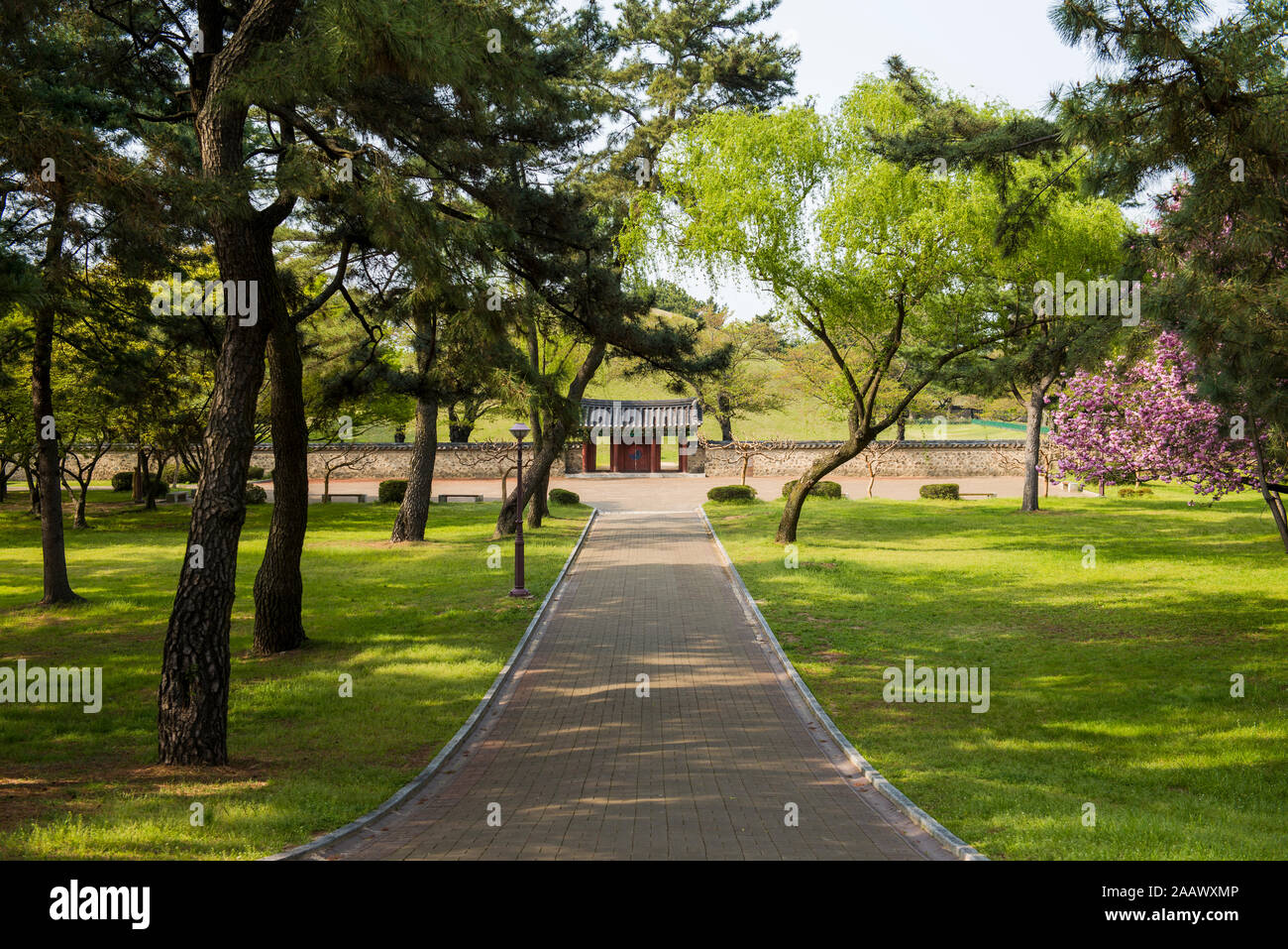 Tomba Daereungwon complessa, Gyeongju, Corea del Sud Foto Stock