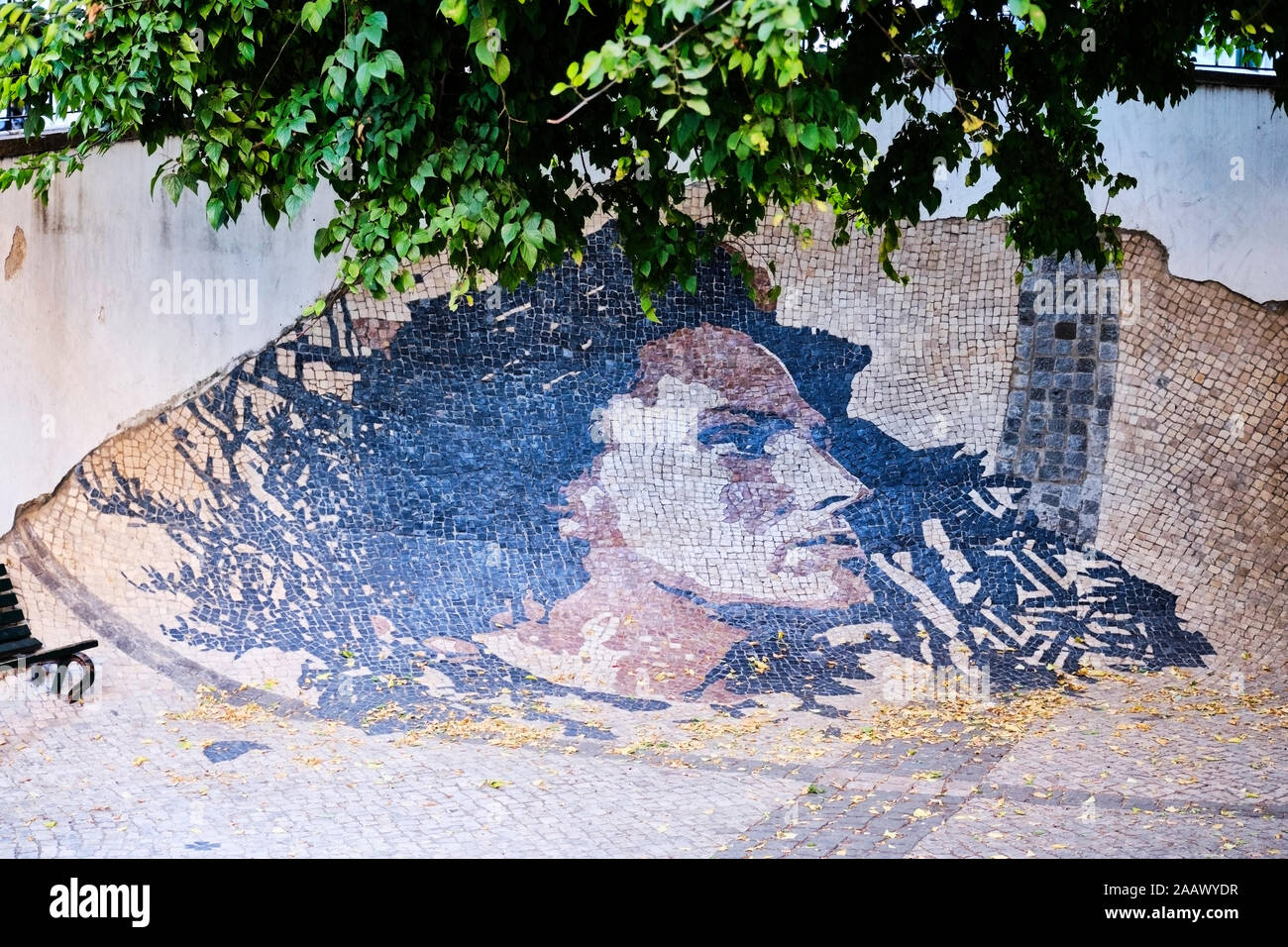 Il Portogallo, Lisbona, Alfama, mosaico che mostra la cantante Fado Amalia Rodrigues Foto Stock