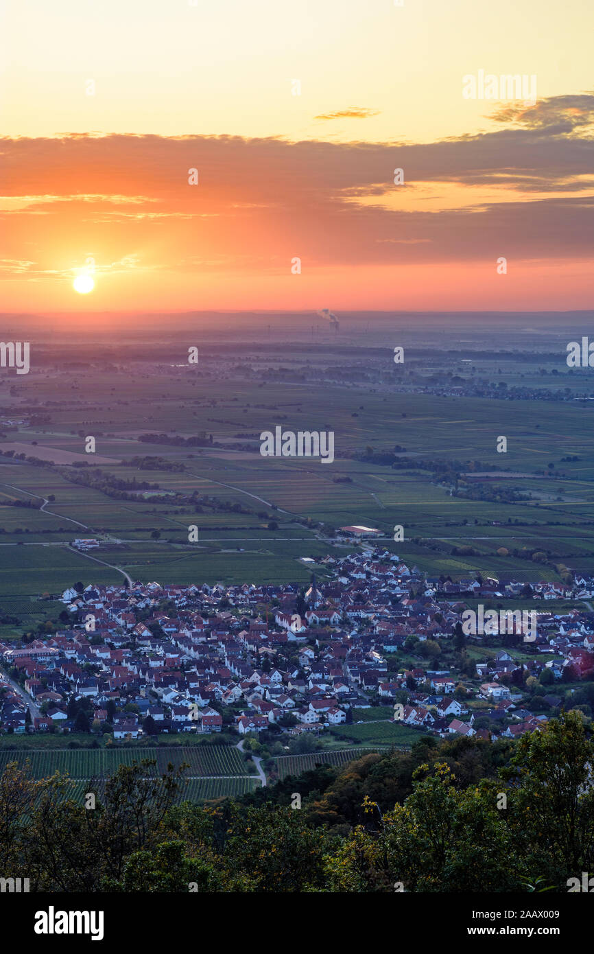 Neustadt an der Weinstrasse: villaggio Diedesfeld, valle del Reno in Weinstraße, Itinerario dei vini tedeschi, Renania-Palatinato, Renania-Palatinato, Germania Foto Stock