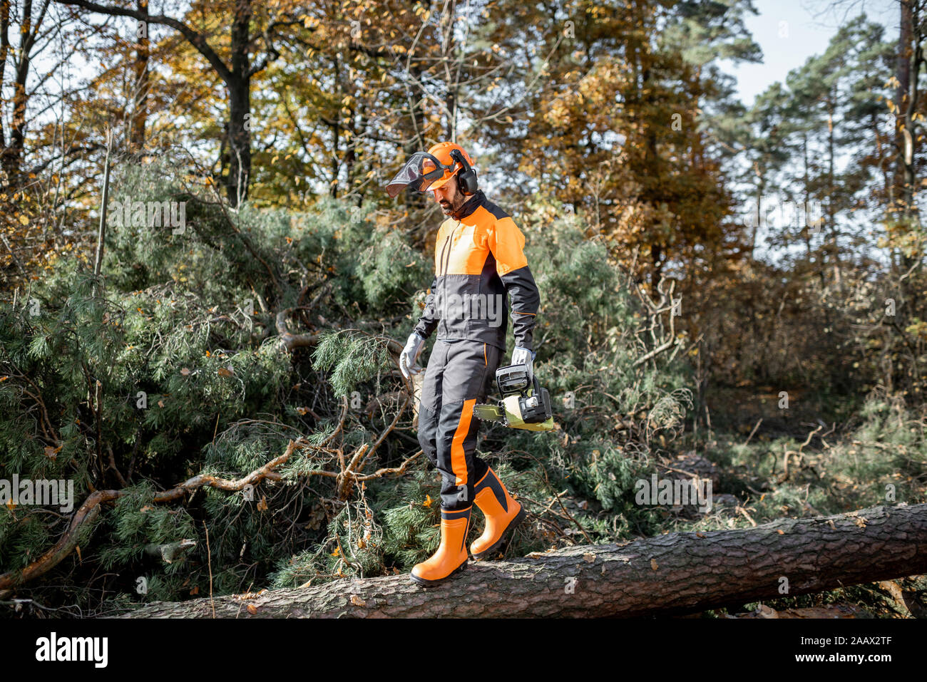 A piena lunghezza Ritratto di un professionista lumberjack in indumenti da lavoro protettiva a piedi con chainsaw sui tronchi nella foresta Foto Stock