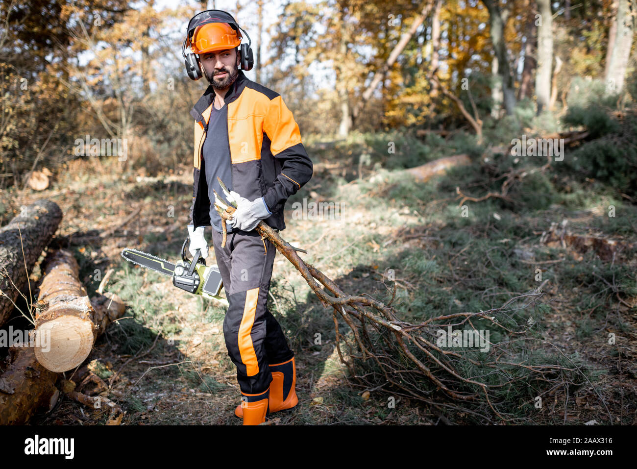 Ritratto di un professionista lumberjack in indumenti da lavoro protettiva portando rami di albero mentre il disboscamento in pineta Foto Stock