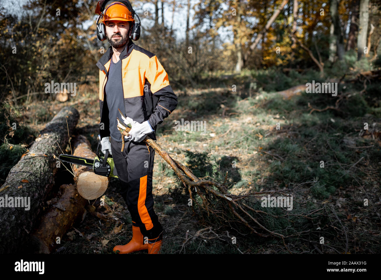 Ritratto di un professionista lumberjack in indumenti da lavoro protettiva portando rami di albero mentre il disboscamento in pineta Foto Stock