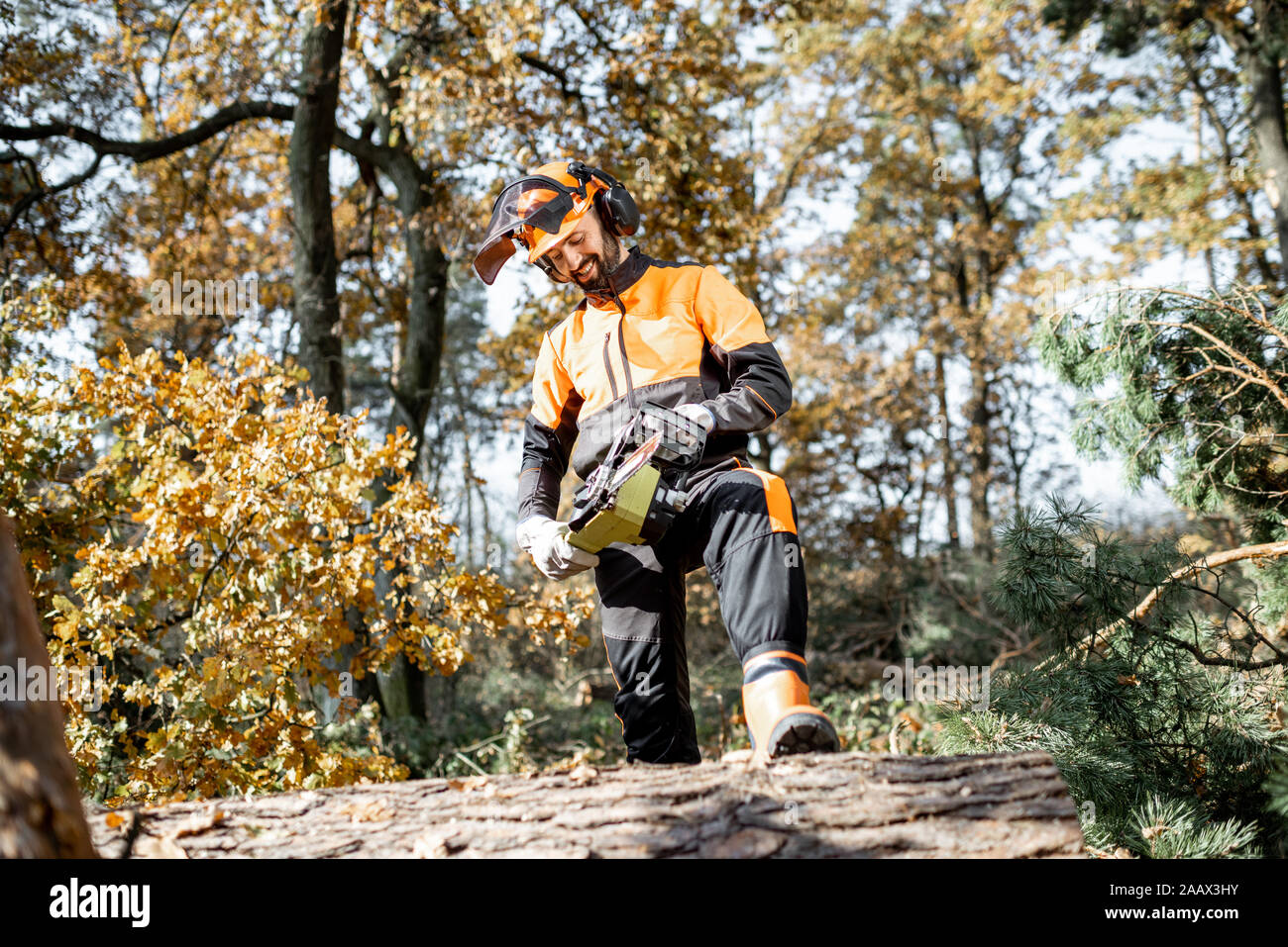 A piena lunghezza Ritratto di un professionista lumberman in indumenti da lavoro protettiva registrazione con chainsaw nella pineta Foto Stock