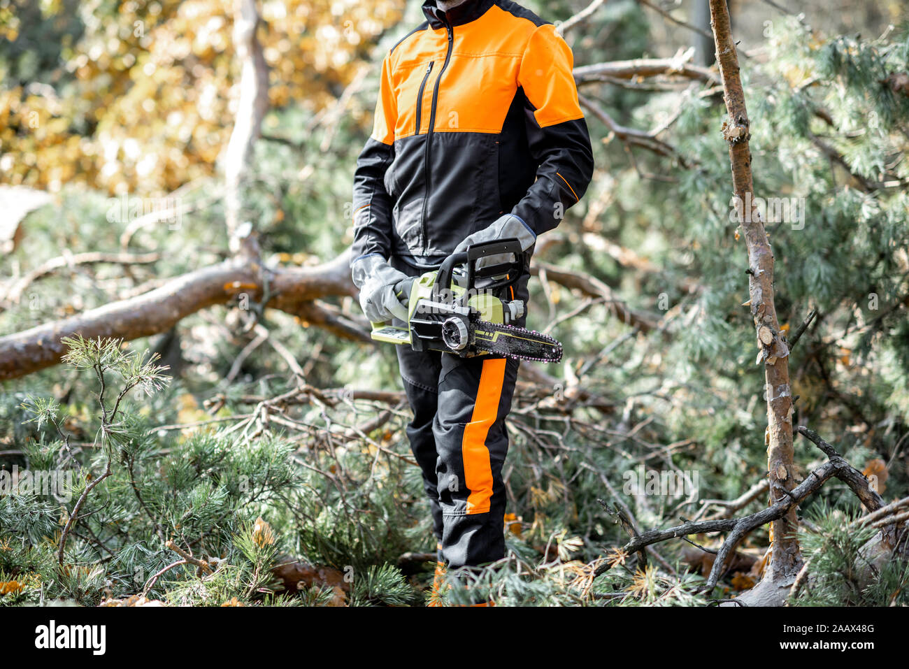 Ritratto di un professionista lumberman in indumenti da lavoro protettiva registrazione con chainsaw nella foresta di pini, close-up con faccia ritagliata Foto Stock