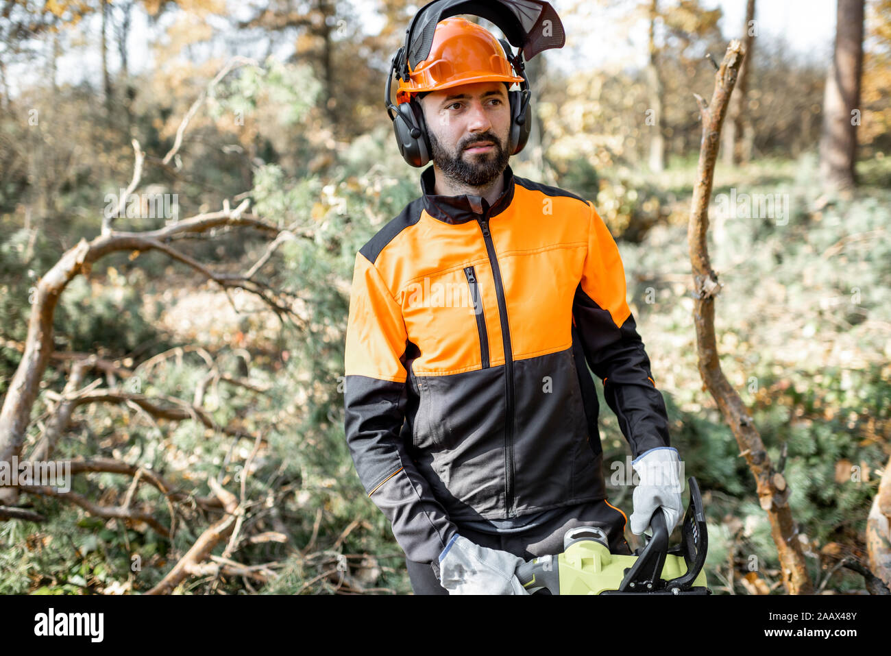 Vita-up verticale di un professionista lumberman in indumenti da lavoro protettiva registrazione con chainsaw nella pineta Foto Stock