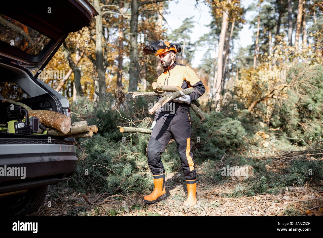 Professional lumberman in indumenti protettivi che trasportano i boschi nel suo baule auto, rendendo il disboscamento in pineta Foto Stock