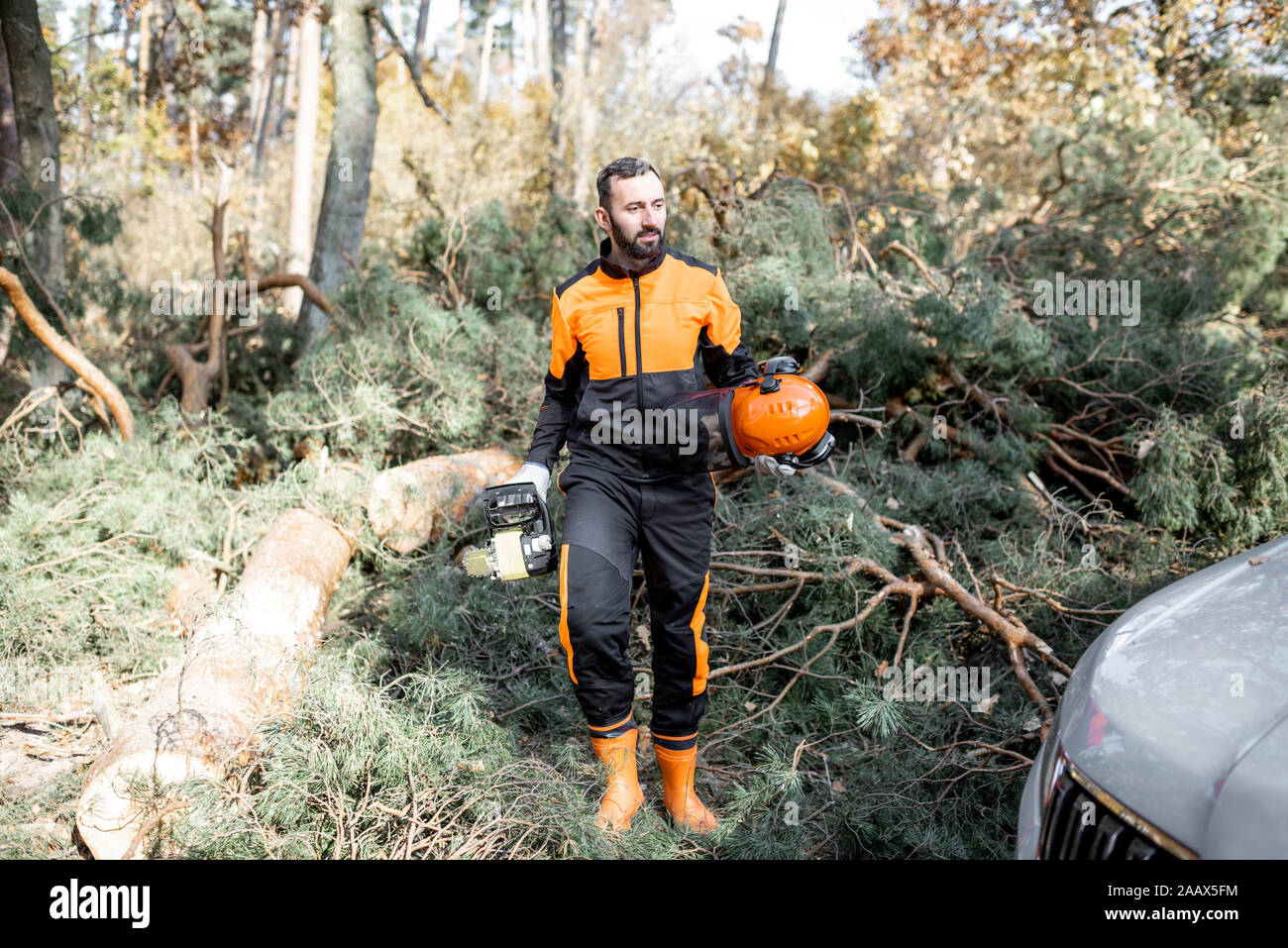 Ritratto di un professionista lumberman in indumenti da lavoro protettiva la registrazione con una motosega nel bosco Foto Stock