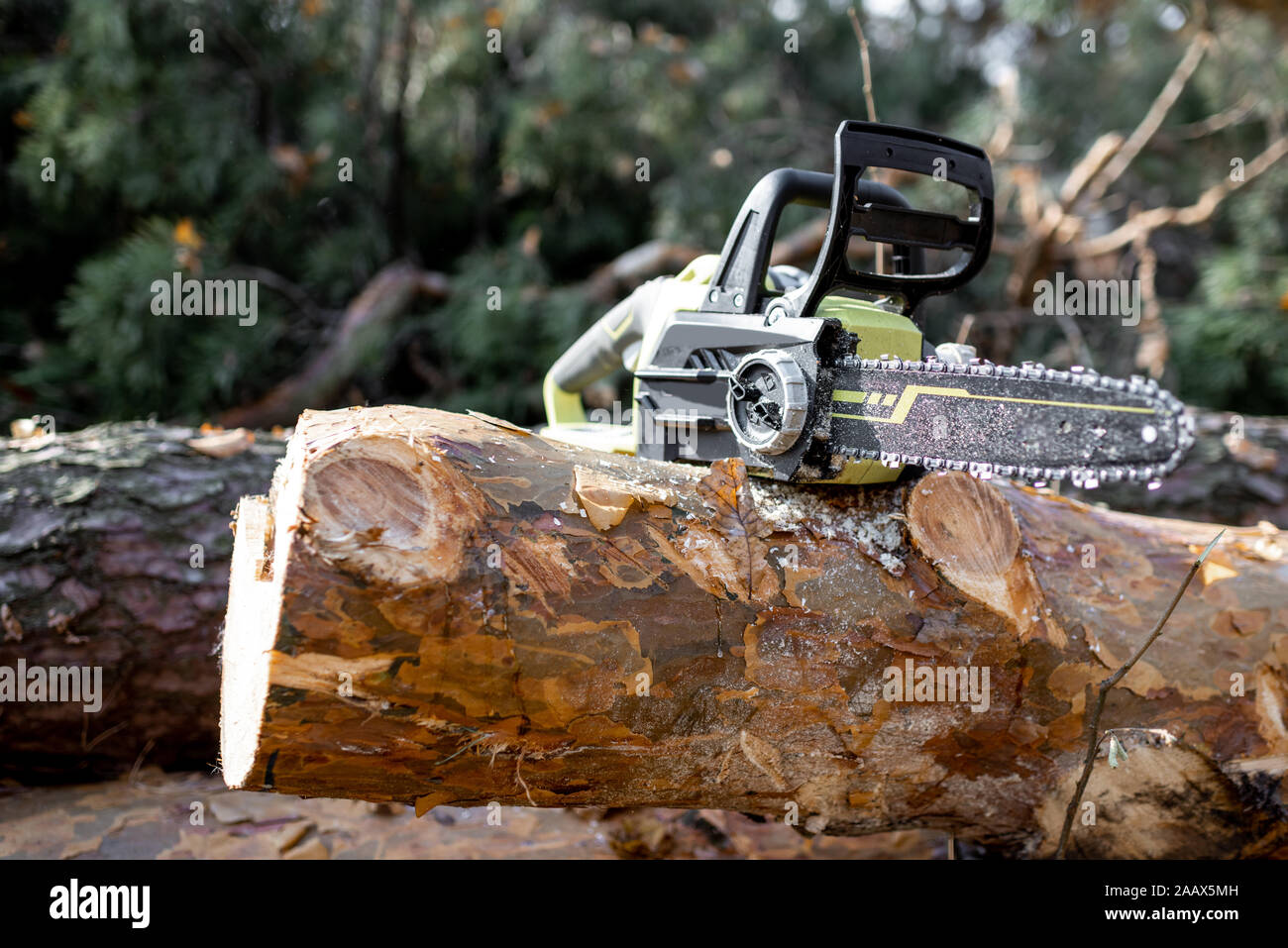 Motosega elettrica sul registro di legno nella foresta, il concetto di una  registrazione professionale con sega a nastro Foto stock - Alamy