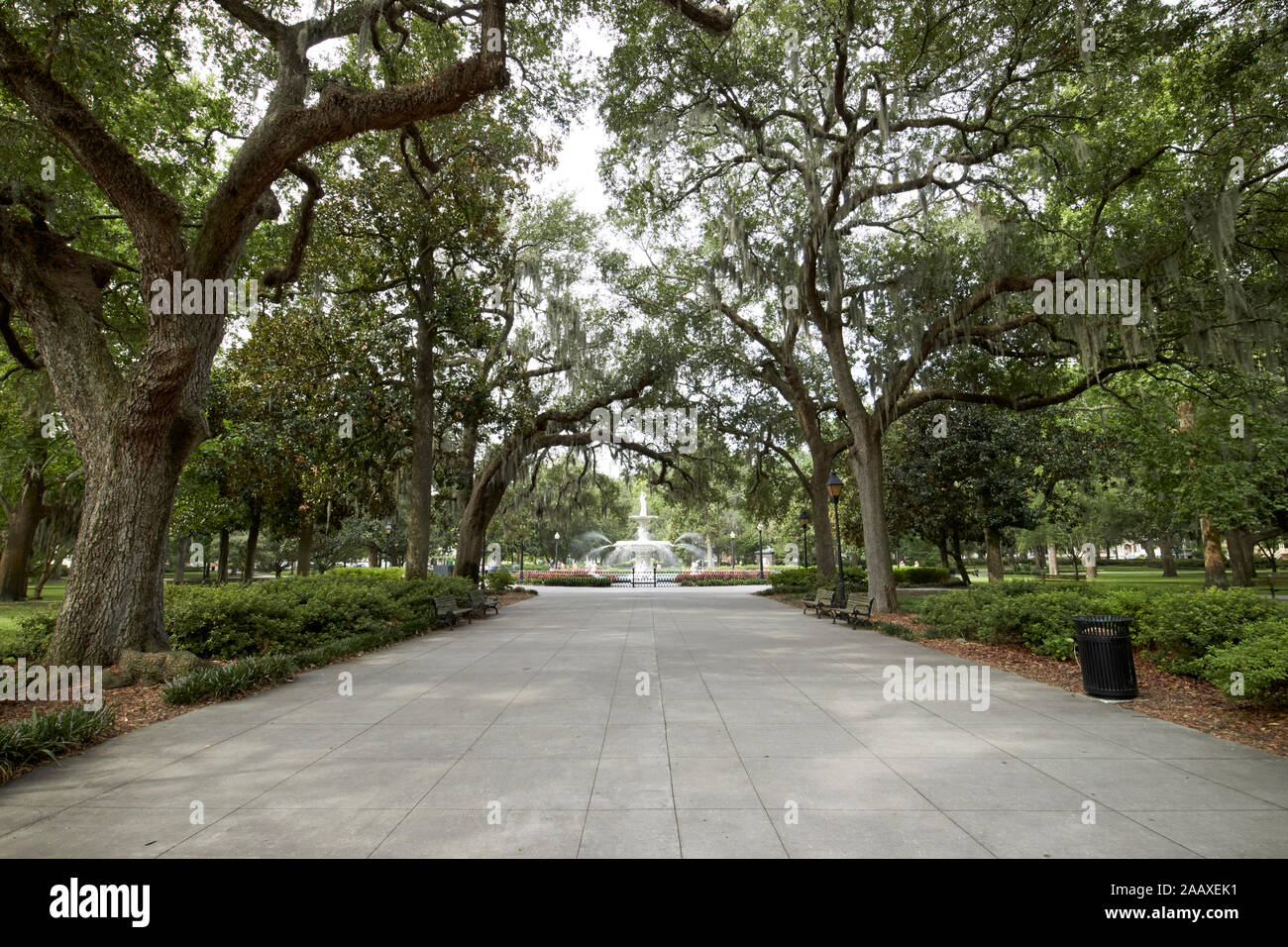 Il percorso che conduce attraverso live oaks coperte di muschio Spagnolo verso Forsyth park fontana Savannah in Georgia negli Stati Uniti Foto Stock