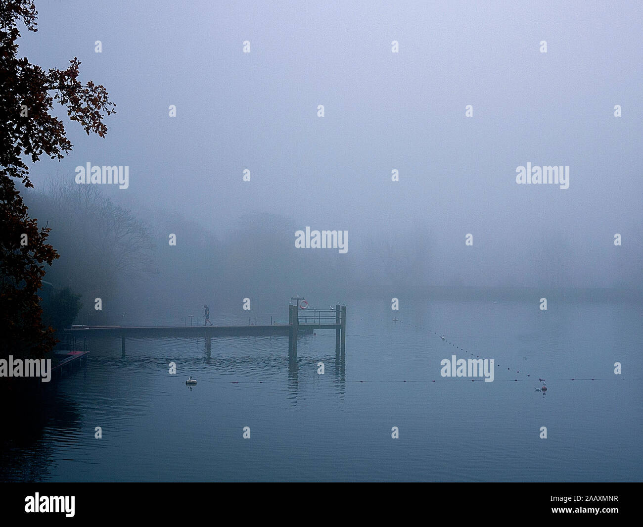 Hampstead Heath Piscina all'alba. Camden London REGNO UNITO Foto Stock