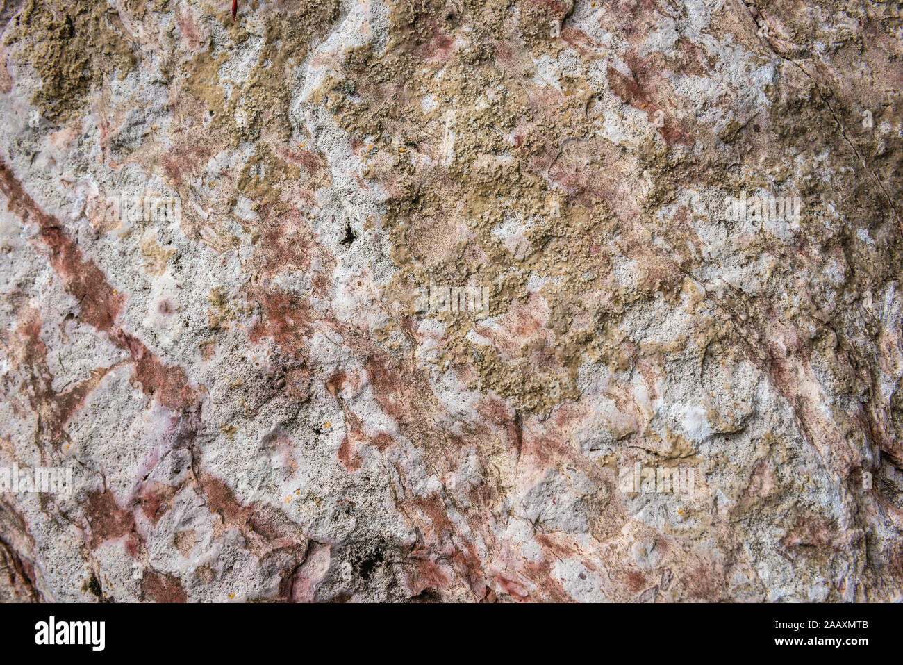 Chiudere su un Paleozoico calcari rocce Dylewo Hills Landscape Park, Polonia Foto Stock