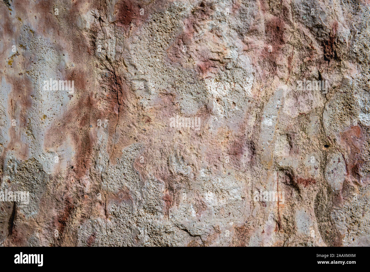 Chiudere su un Paleozoico calcari rocce Dylewo Hills Landscape Park, Polonia Foto Stock