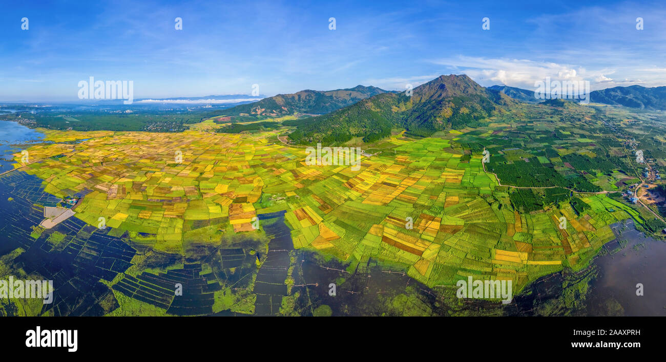 Veduta aerea Di Ngo Son Rice Field, Gia Lai, Vietnam. Immagine di riserva libera di alta qualità di royalty paesaggio di risaie di terrazza in Vietnam Foto Stock
