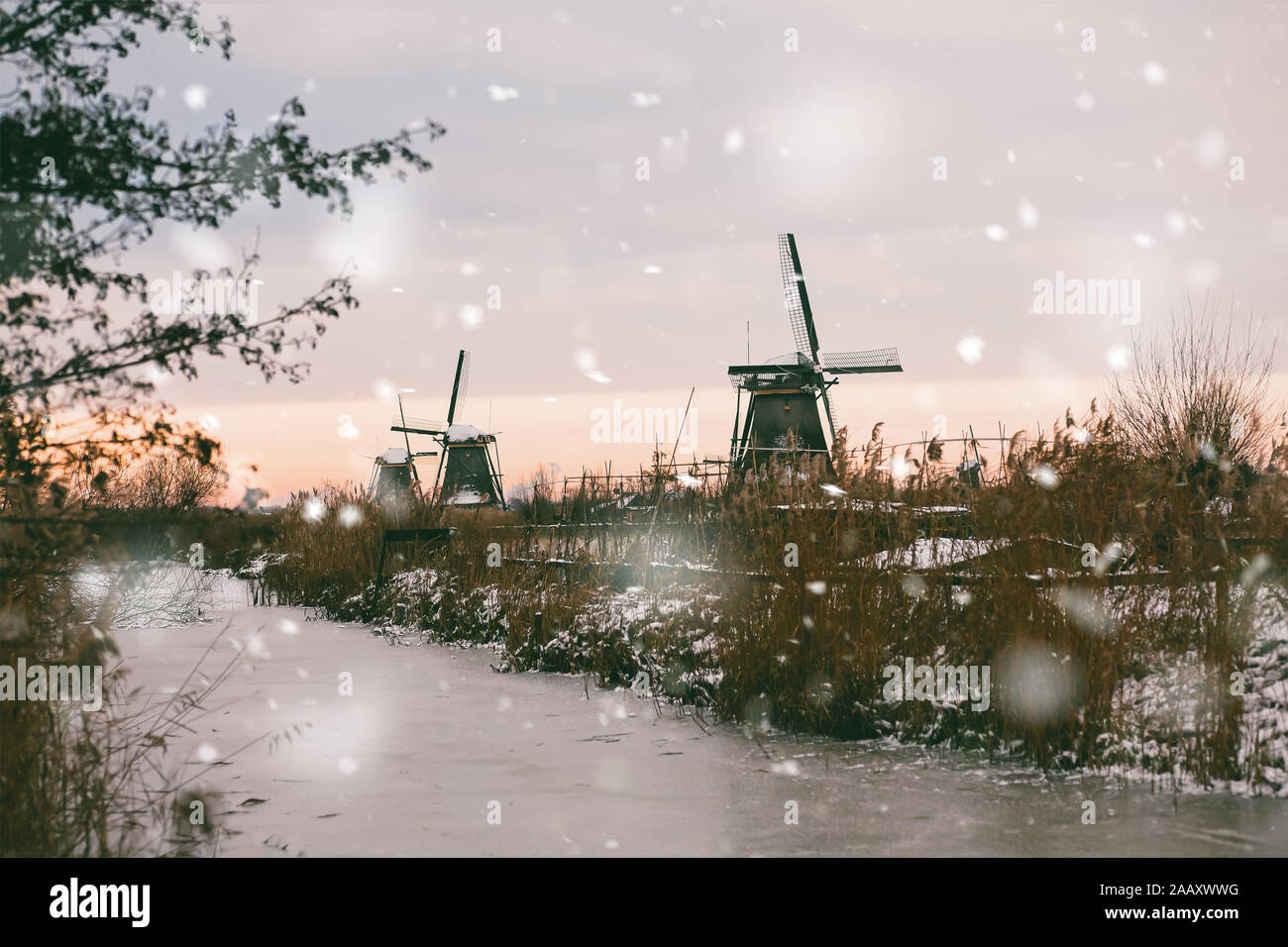 Paesaggio Innevato con rurale di vecchi mulini a vento di Kinderdijk, Paesi Bassi. La magia dello sfondo. Monocromatico toni neutri con luce naturale Foto Stock