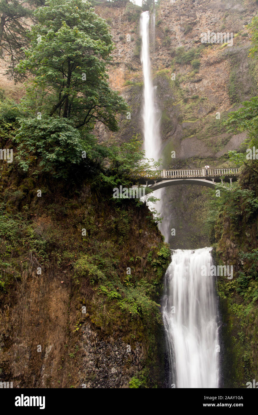 Wahkeena Falls, vicino a Portland, Oregon Foto Stock