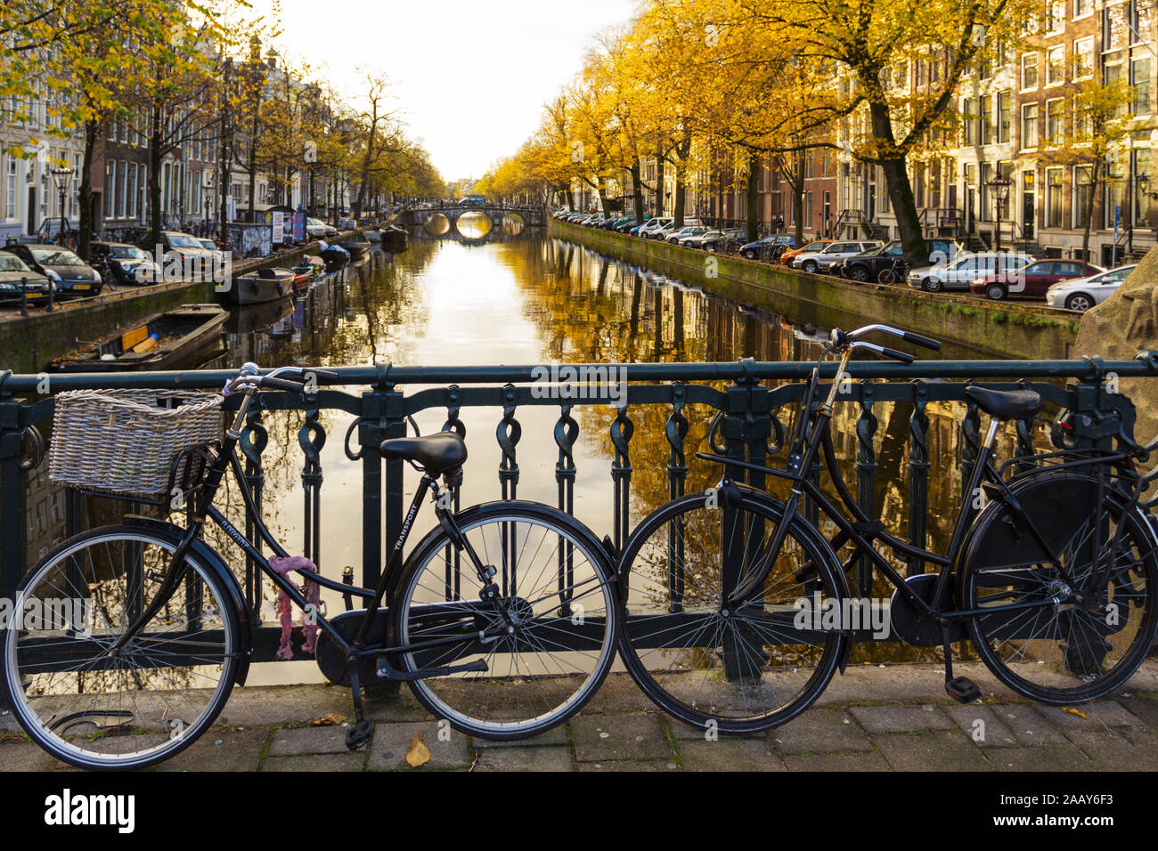 AMSTERDAM OLANDA PAESI BASSI CANAL in autunno con foglie d'oro sugli alberi e due biciclette sul ponte Foto Stock