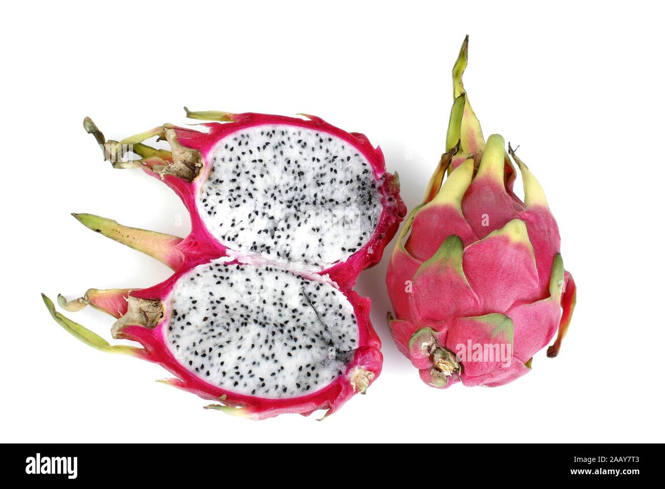 Rote Pitahaya (Cereus triangularis, Hylocereus triangularis, Hylocereus undatus), rote Drachenfrucht, Herkunft: Kolumbien. | red pitahaya, fragola Foto Stock