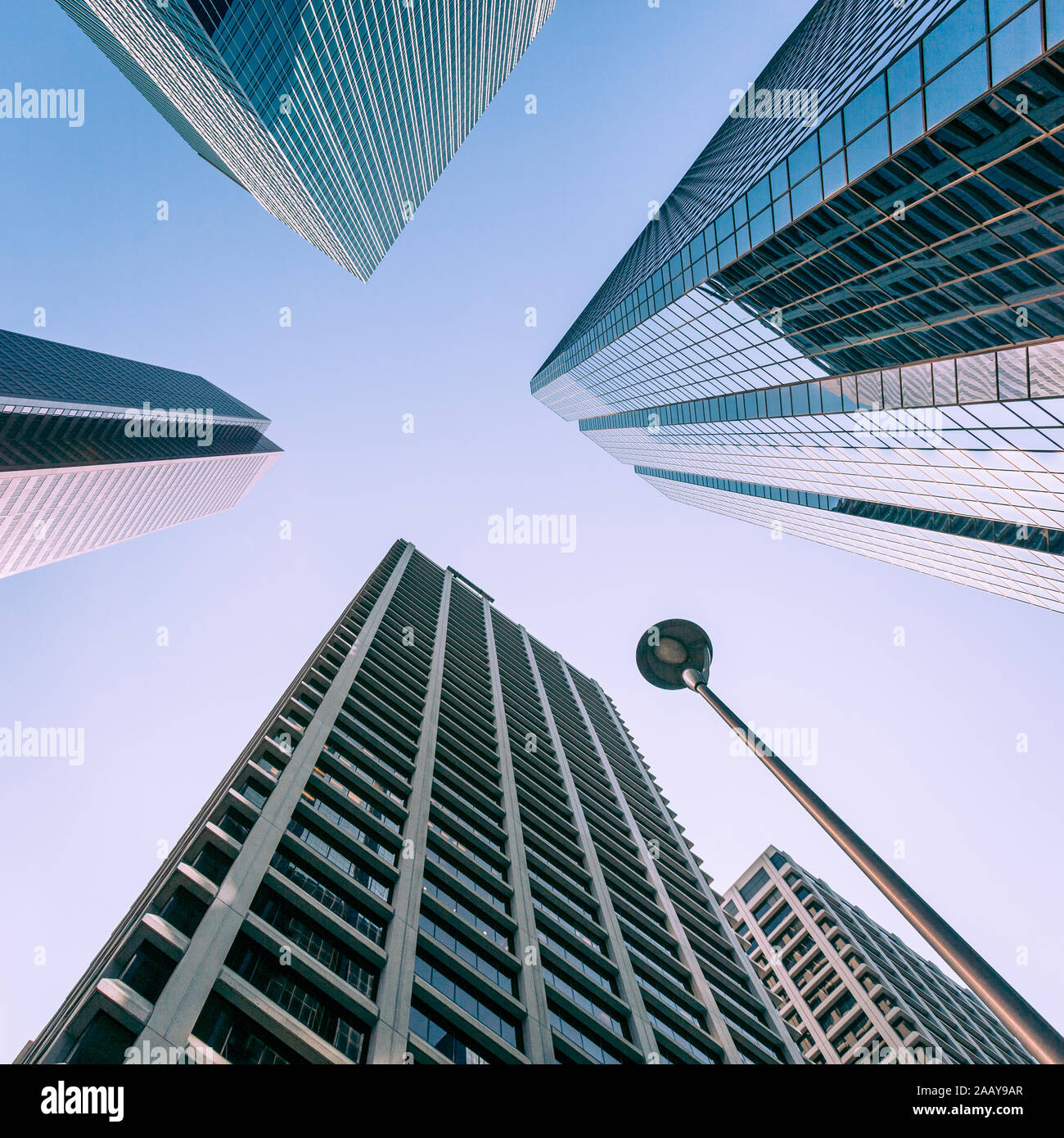 Centro di Calgary, Alberta, Canada. Prospettiva convergente di un basso, un ampio angolo di visione di anonimi grattacieli aziendali. Foto Stock