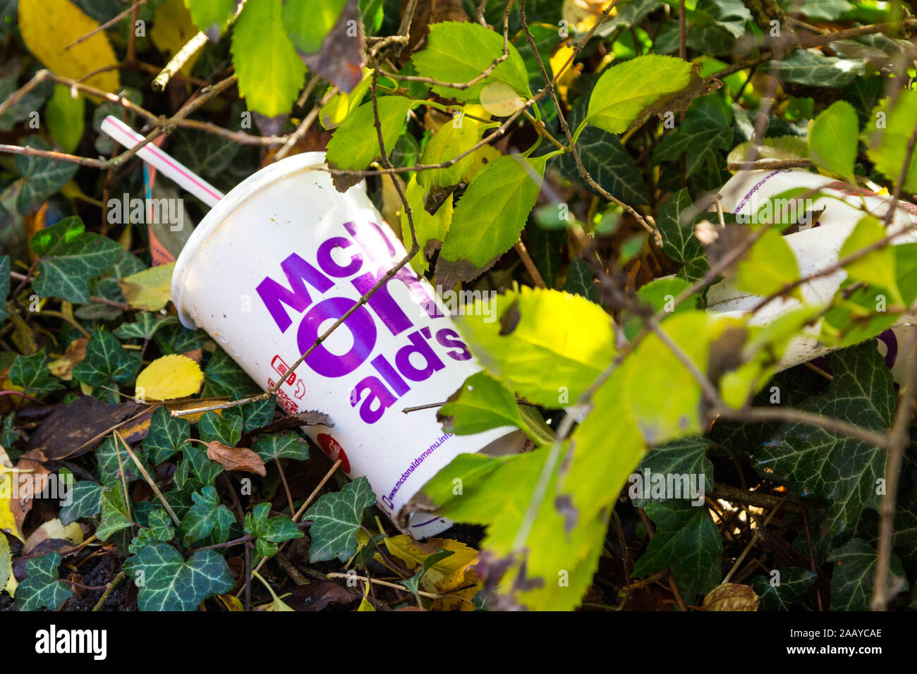 McDonalds bere contenitore di imballaggio scartati tra foglie sotto copertura Foto Stock