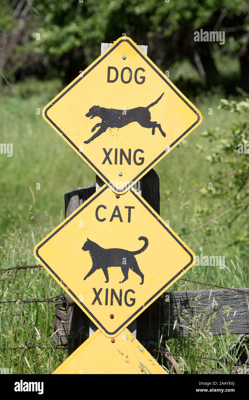 Cane e gatto segni di attraversamento, Grant County, Oregon. Foto Stock