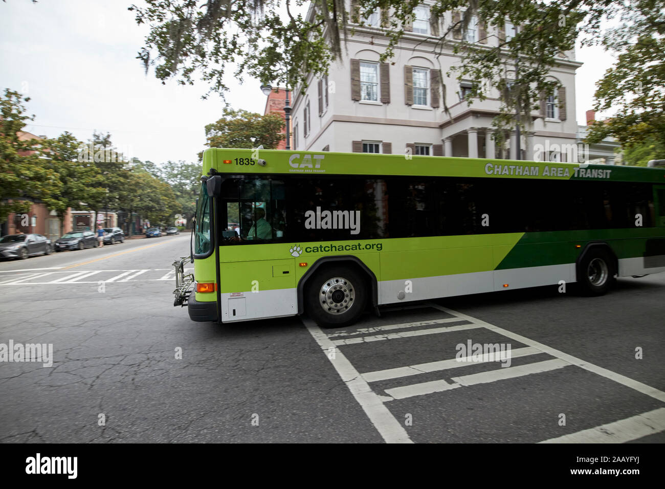 Cat chatham area bus di transito nel centro di Savannah in Georgia negli Stati Uniti Foto Stock