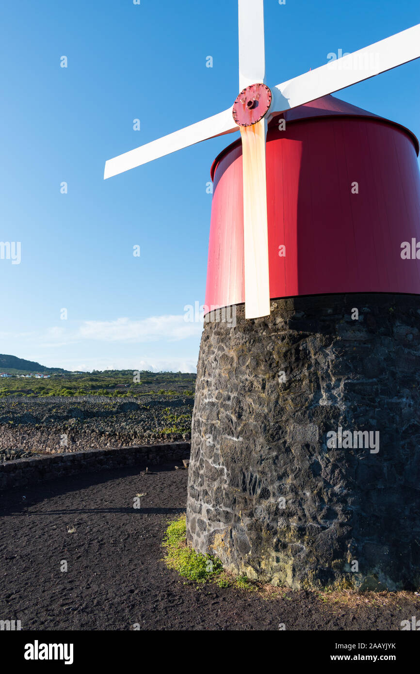 Vista ravvicinata di un restauro di un tradizionale mulino a vento rosso costruito nel nero pietra lavica vigneti di Pico Isola su un luminoso blu chiaro mattina. Foto Stock