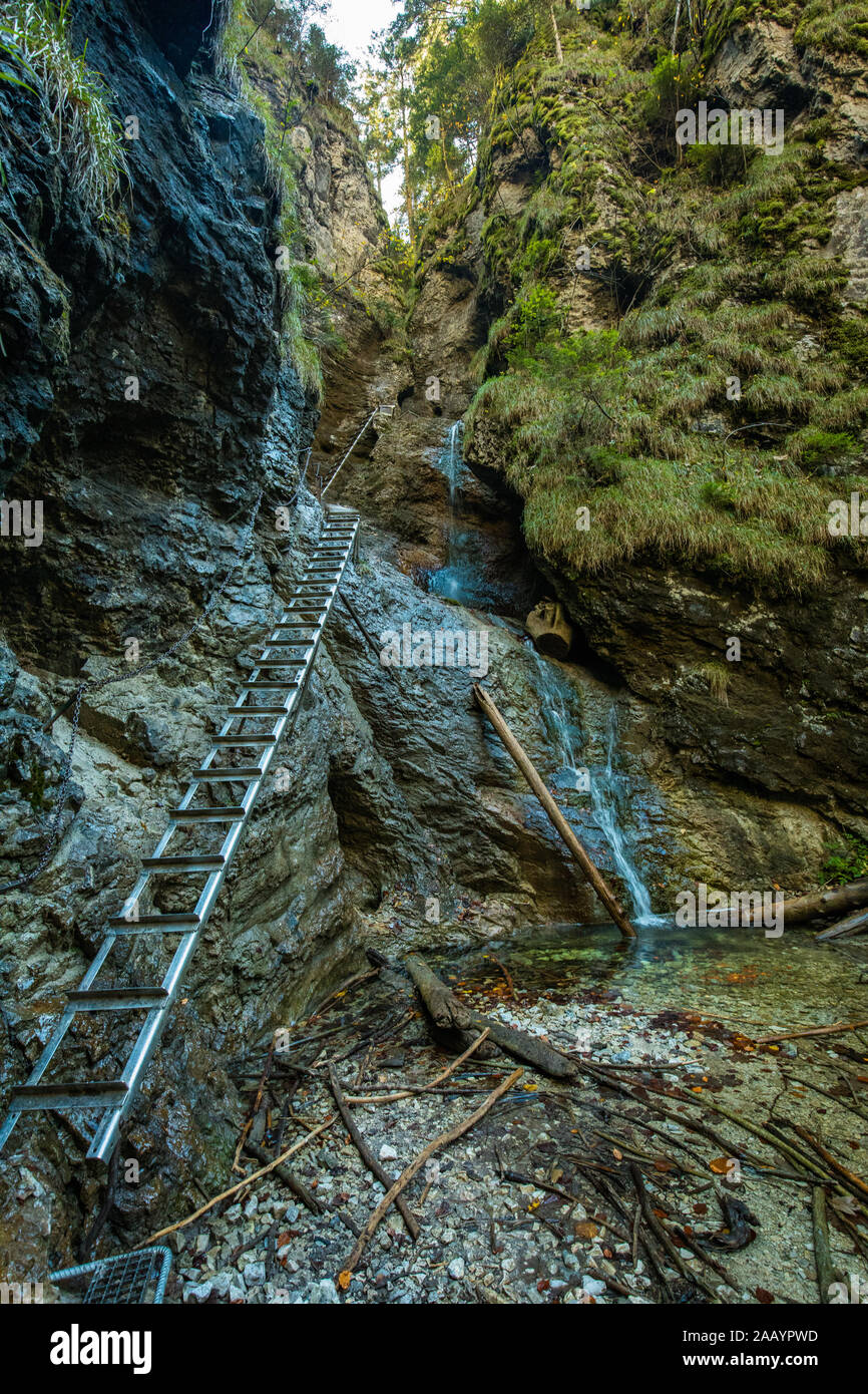 Sentiero escursionistico a Sucha Bela gorge in Slovensky raj National Park, Slovacchia. Foto Stock