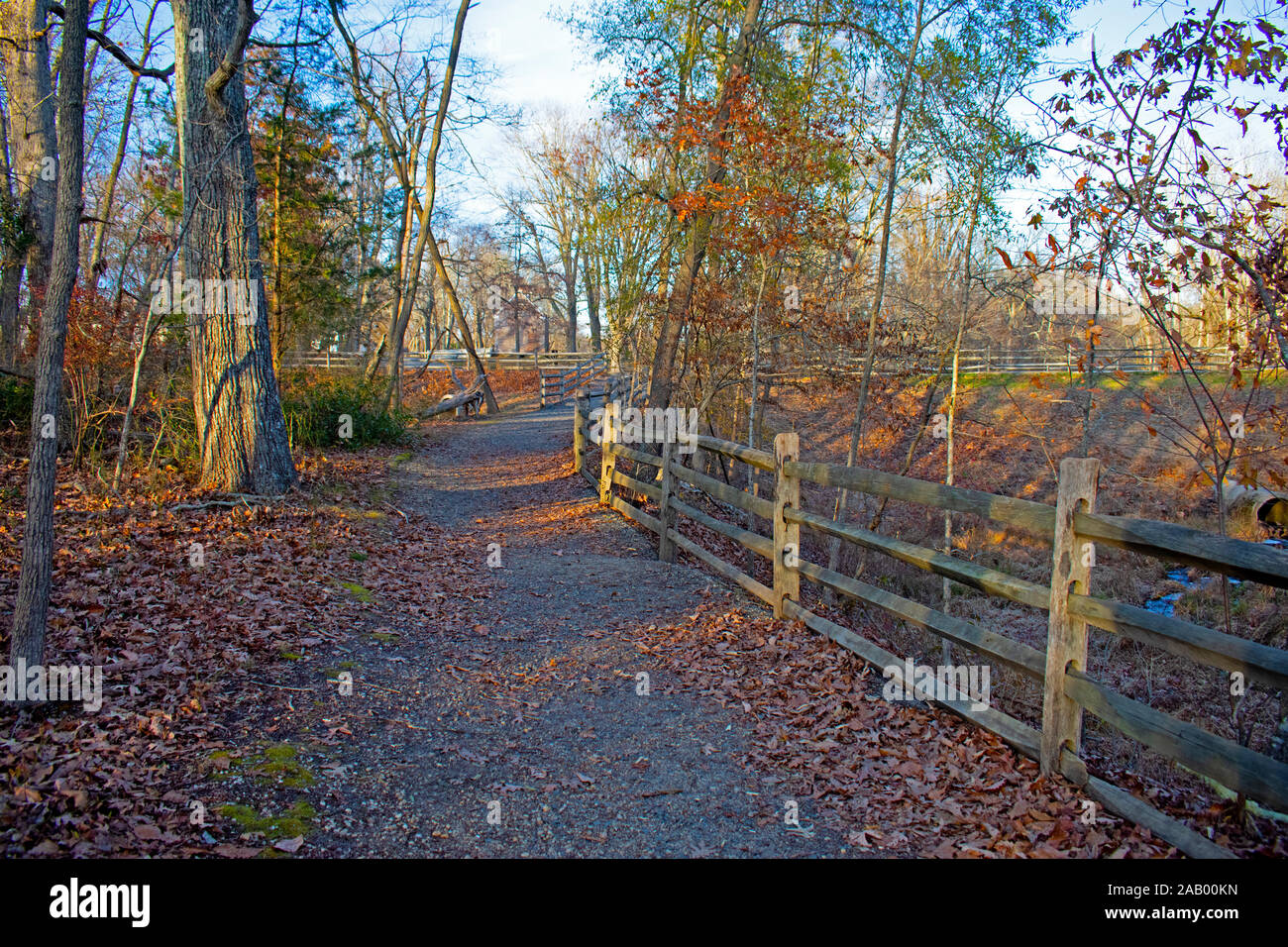 Sentiero natura Allaire State Park, New Jersey, con foglie di autunno di rivestimento del pietrisco sentieri -03 Foto Stock