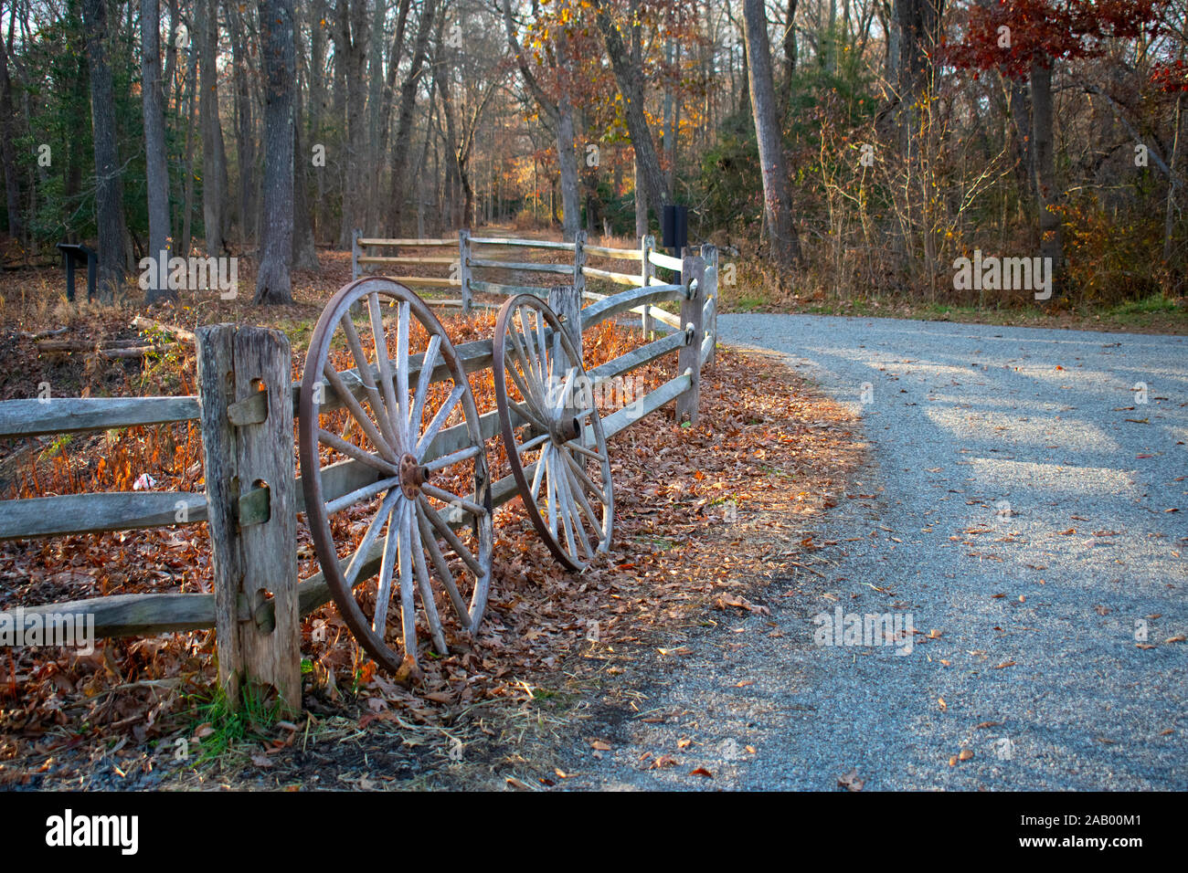 Sentiero natura Allaire State Park, New Jersey, con foglie di autunno di rivestimento del pietrisco sentieri -04 Foto Stock