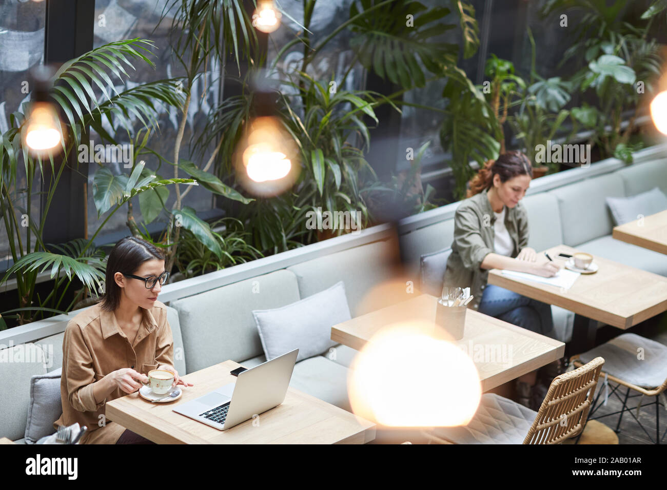 Angolo alto ritratto di due giovani donne che lavorano in tabelle separate in cafe presso la terrazza esterna decorata con piante, spazio di copia Foto Stock
