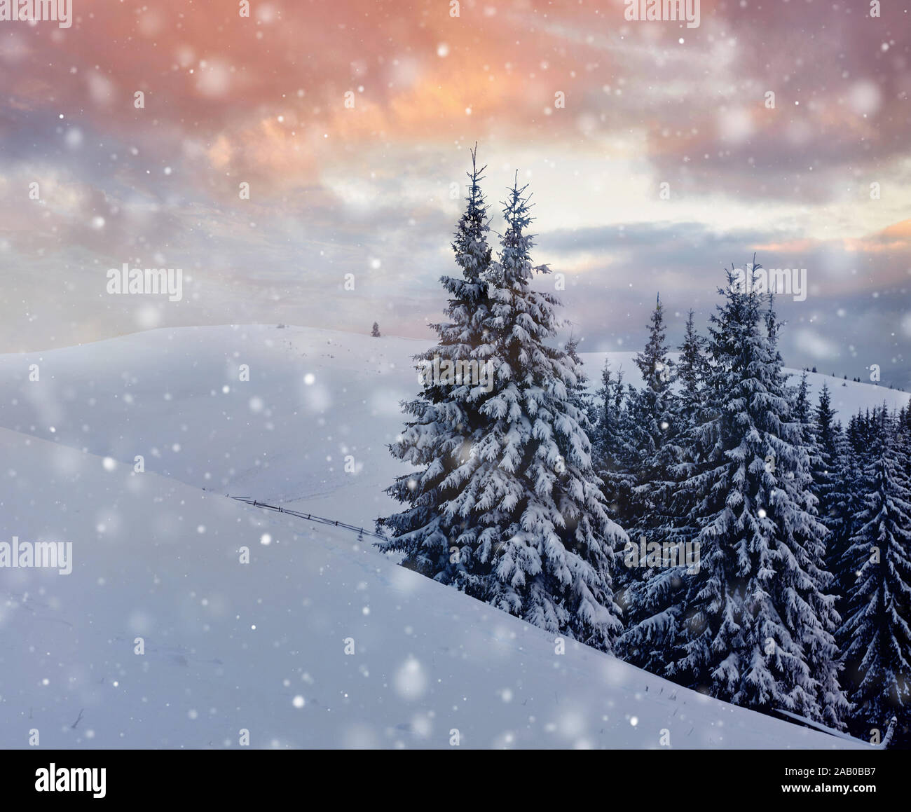 Paesaggio di inverno alberi e recinzioni in brina, sfondo con alcuni punti salienti morbido e fiocchi di neve Foto Stock
