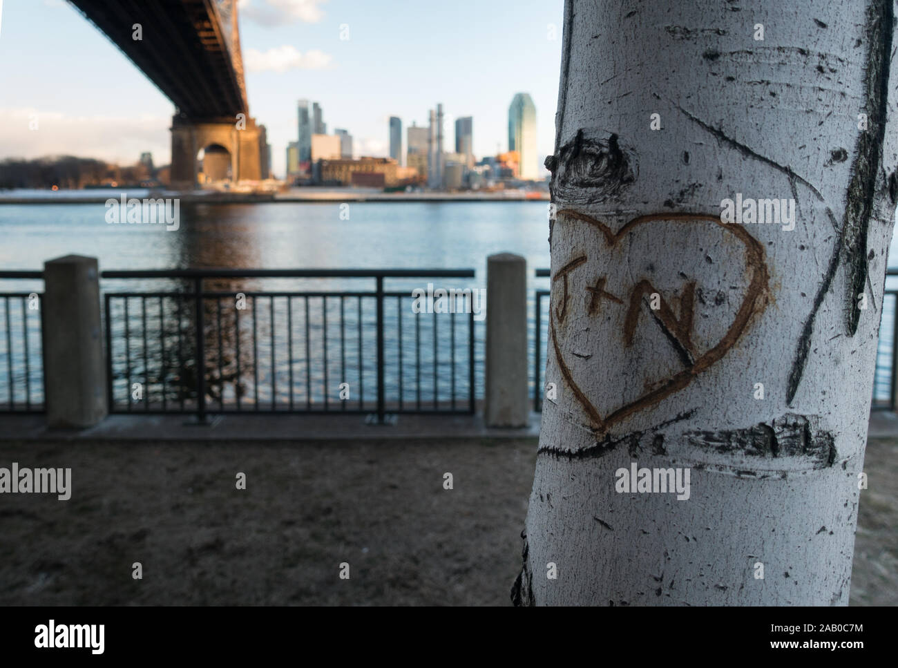 Cuore intagliato e iniziali come simbolo dell amore in betulla con il Queensboro Bridge e grattacieli in background. East River visibile, sunset cadono lentamente Foto Stock