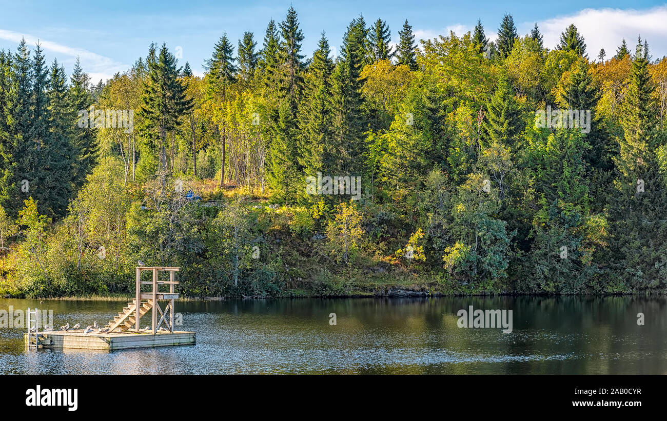 Una piattaforma di immersioni nel mezzo di un lago di Trondheim, Norvegia. Foto Stock