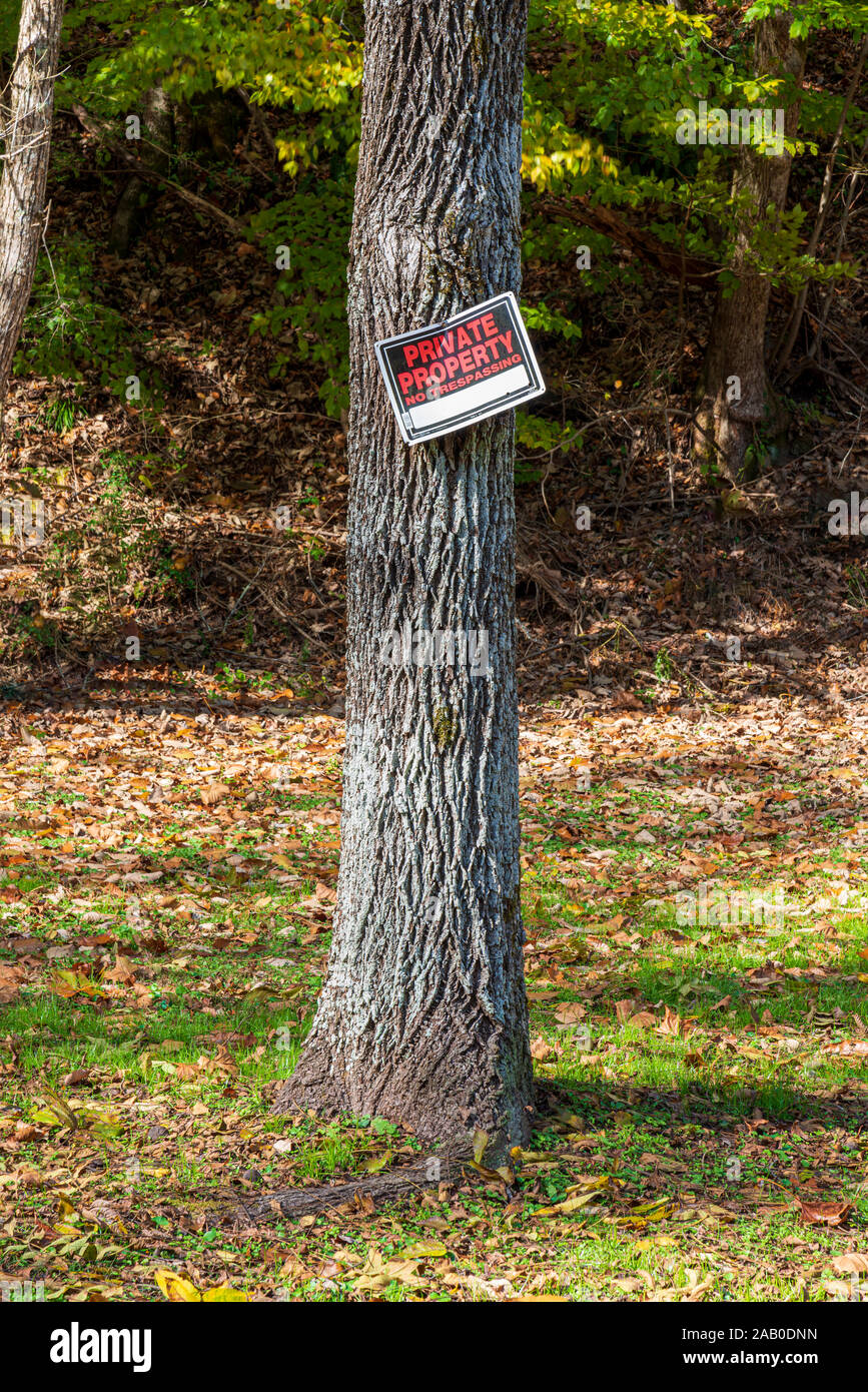 Colpo verticale di una proprietà privata senza sconfinamenti di segno inchiodati ad un albero. Foto Stock