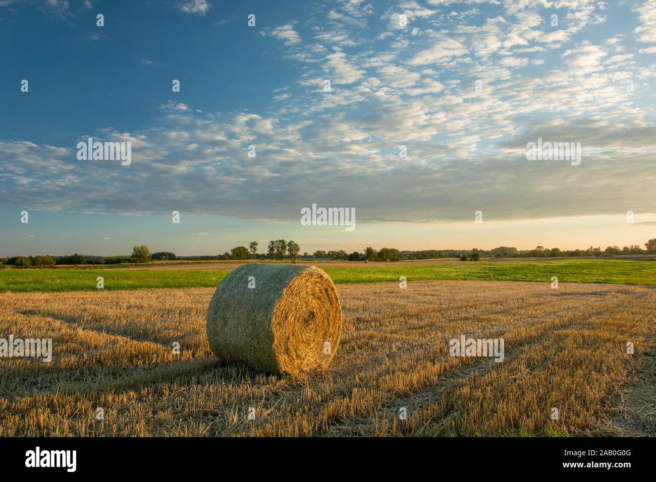 Balla di fieno sulla stoppia durante il tramonto e le nuvole nel cielo. Czulczyce, Polonia Foto Stock