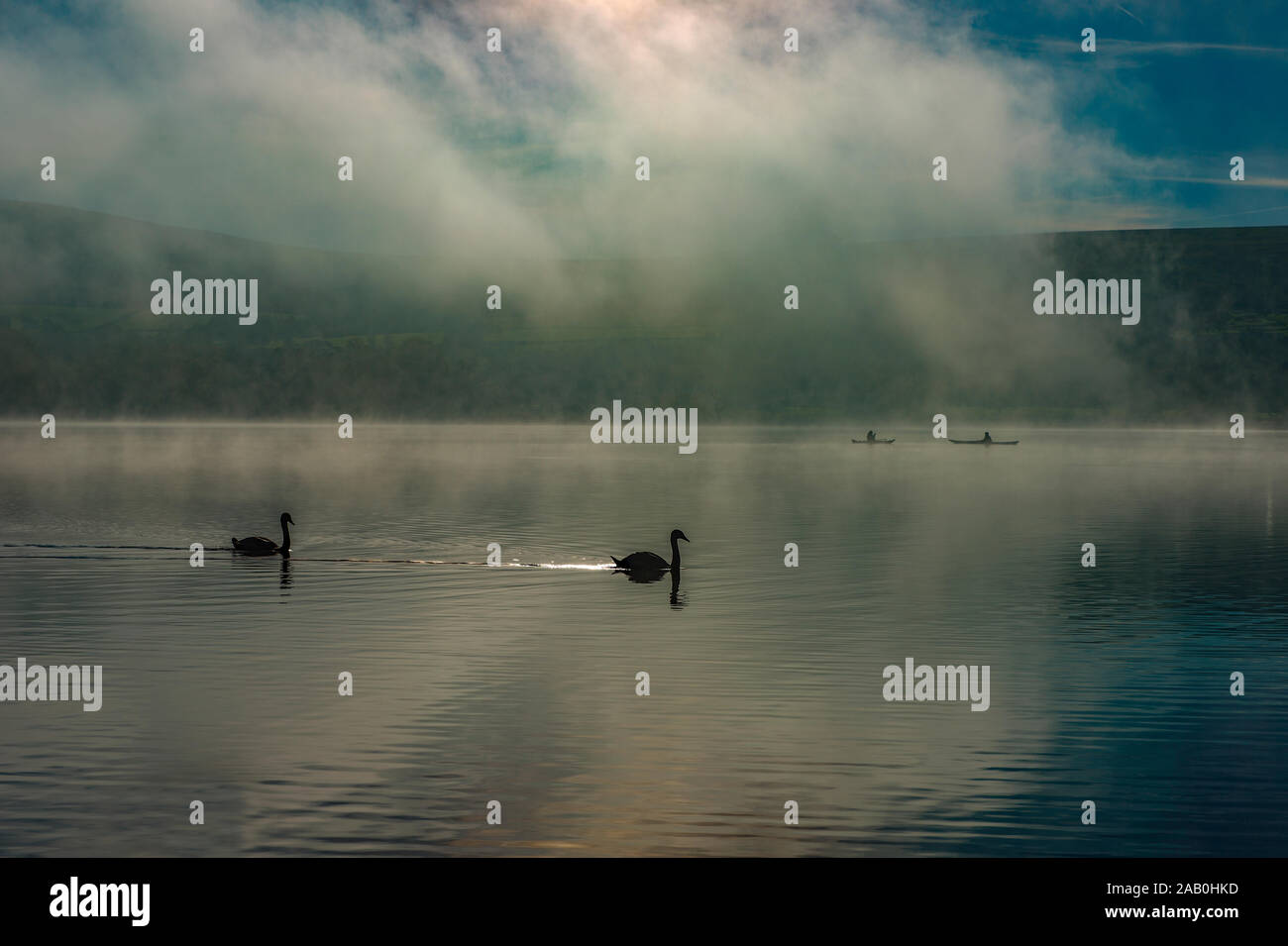 Una coppia di cigni e canoisti sul lago Ullswater durante la nebbia. Il Lake District inglese, Cumbria, Inghilterra, Regno Unito. Foto Stock