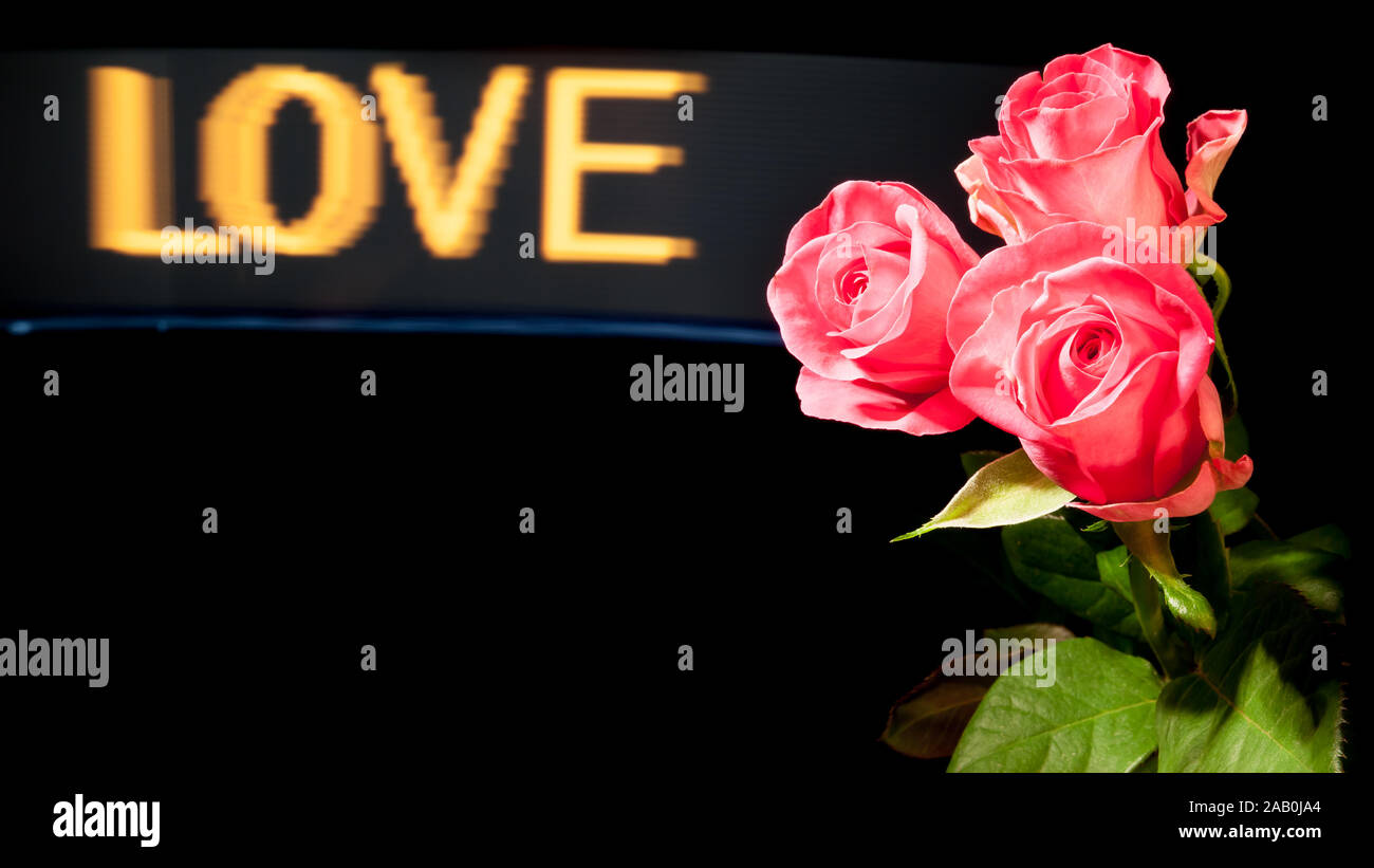 Rosen vor schwarzem Hintergrund und das Wort 'amore' Foto Stock