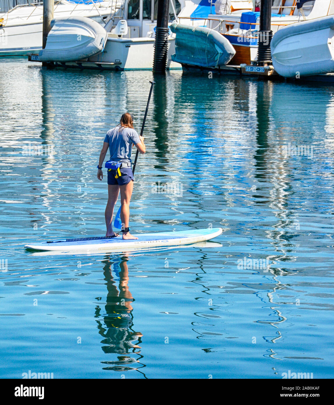 Vista posteriore di una giovane donna in equilibrio su uno stand up paddle in pensione il Santa Barbara canale nel porto di Santa Barbara, CA, Stati Uniti d'America Foto Stock