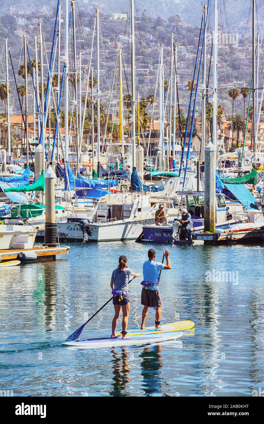 Una giovane donna e uomo pagaiando su uno stand up paddle in pensione il Santa Barbara canale nel porto di Santa Barbara, CA, Stati Uniti d'America, Foto Stock