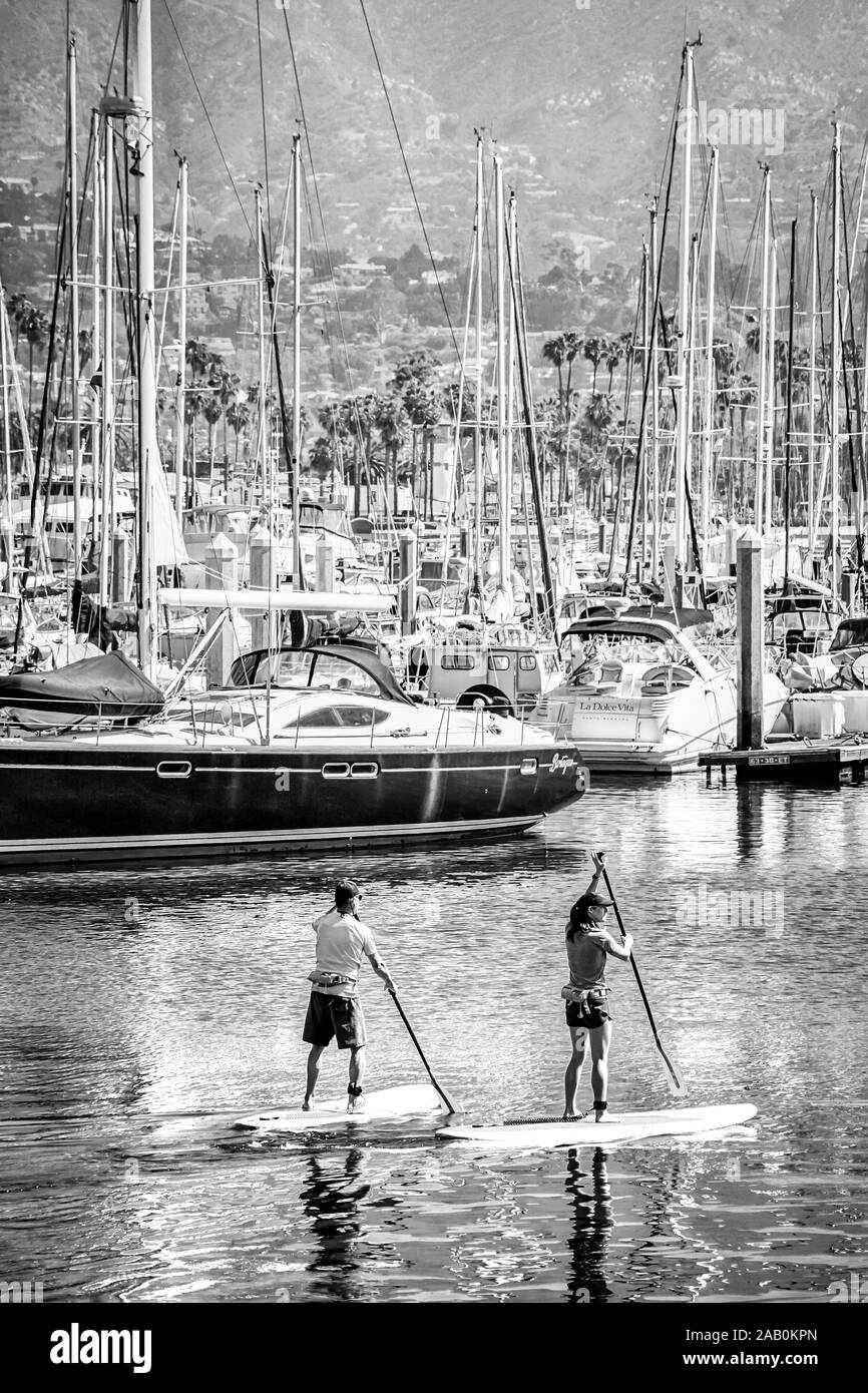 Una giovane donna e uomo pagaiando su uno stand up paddle in pensione il Santa Barbara canale nel porto di Santa Barbara, CA, Stati Uniti d'America, in bianco e nero Foto Stock