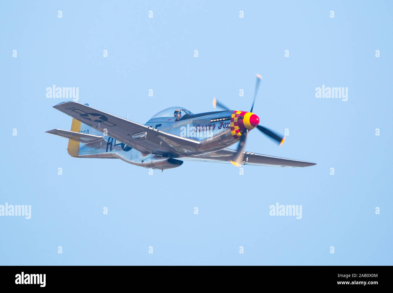 MONROE, NC (USA) - 9 Novembre 2019: UN P Mustang da combattimento aereo in volo al Warbirds su Monroe Air Show. Foto Stock